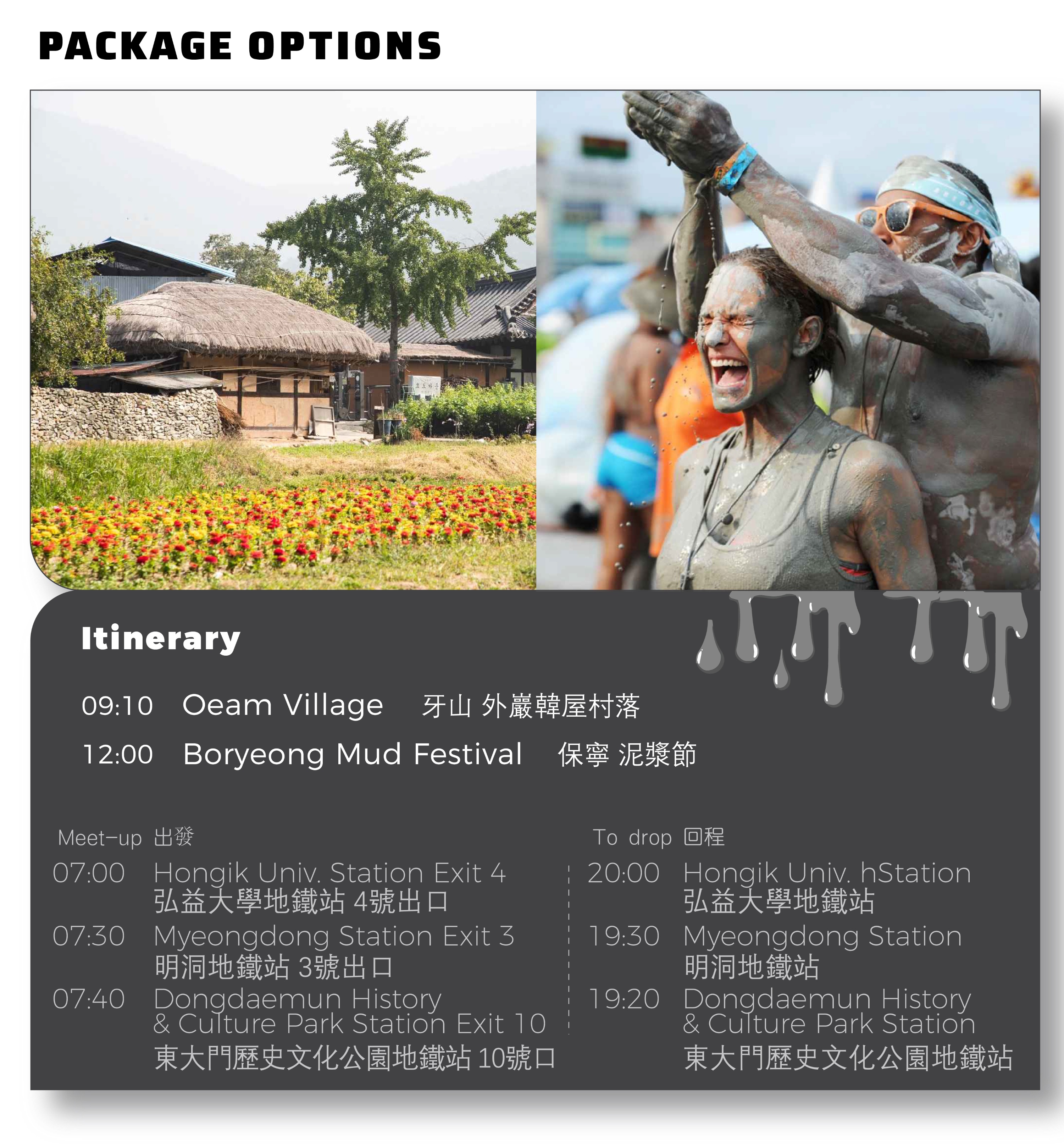 Boryeong Mud Festival / Daecheon Beach / Oeam Folk Village 