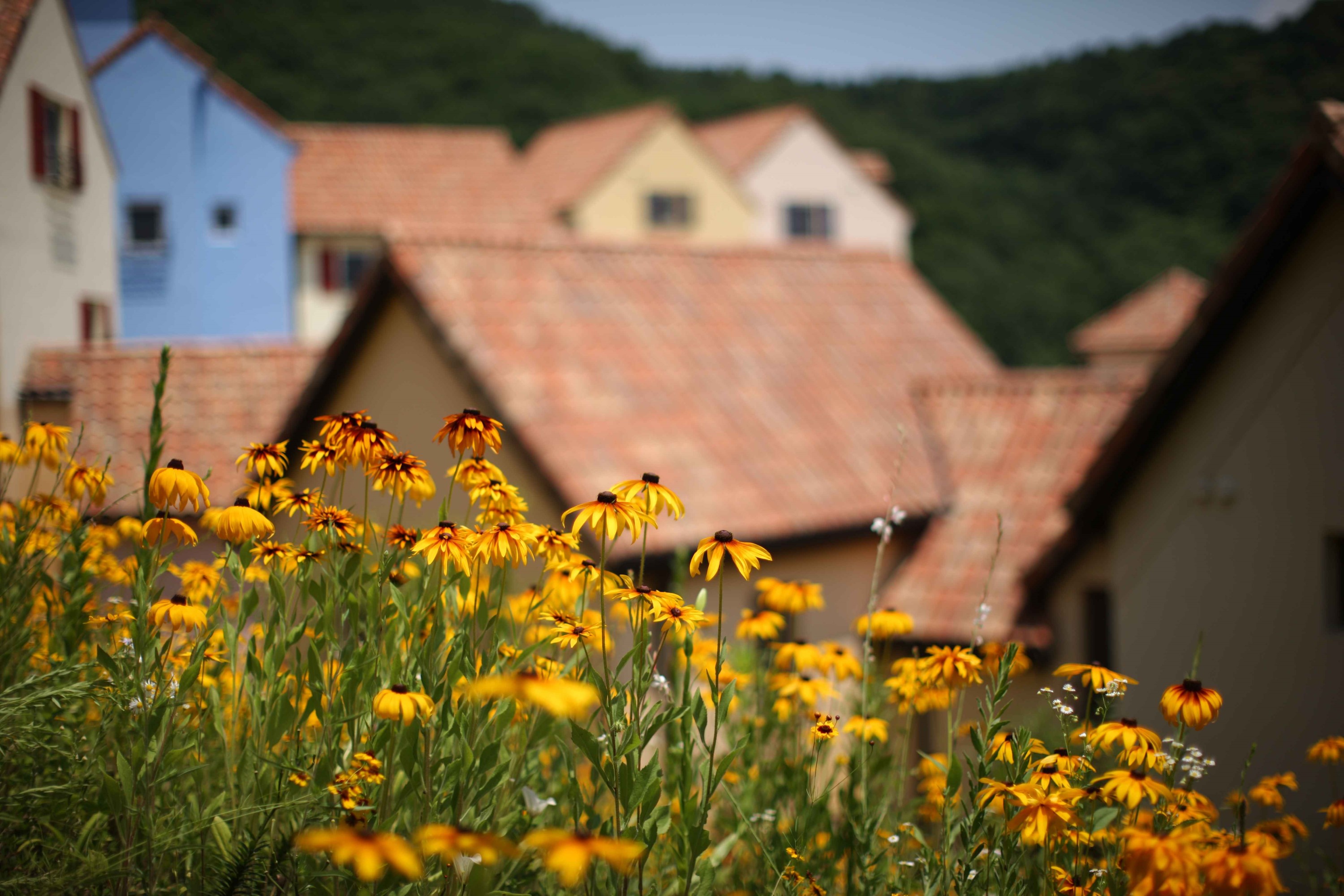 小法國村與義大利村 小法國村與義大利村