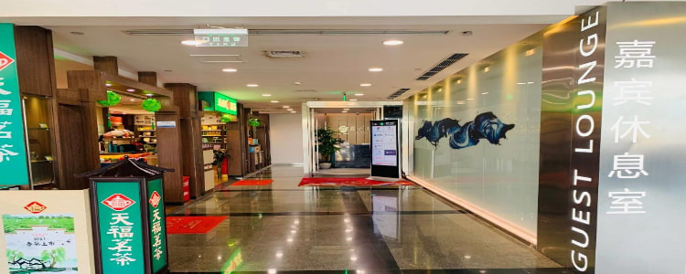 Remote Guest Lounge (T3 Domestic Departures)