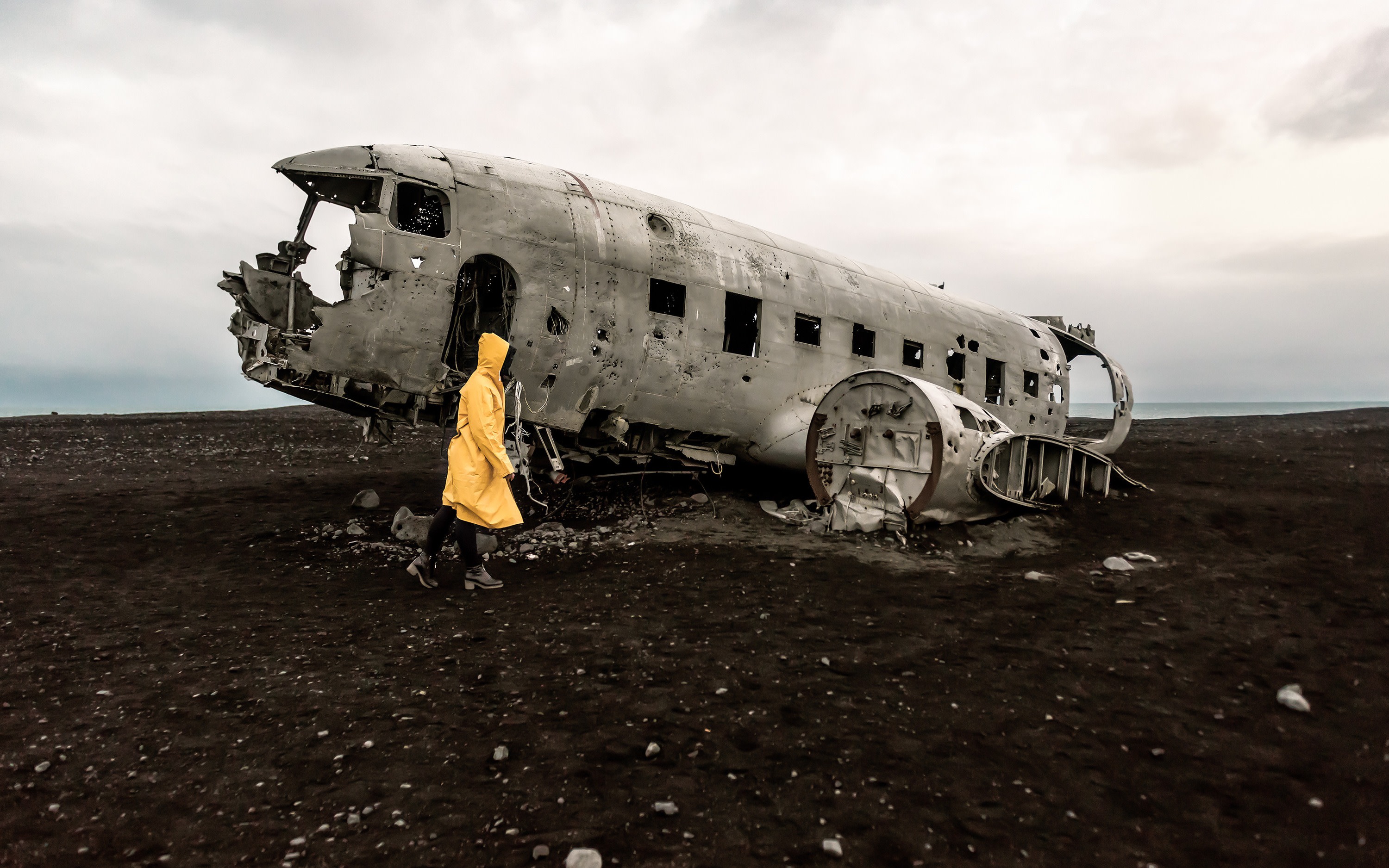 South Coast and Solheimasandur Plane Wreck Day Tour from Reykjavik