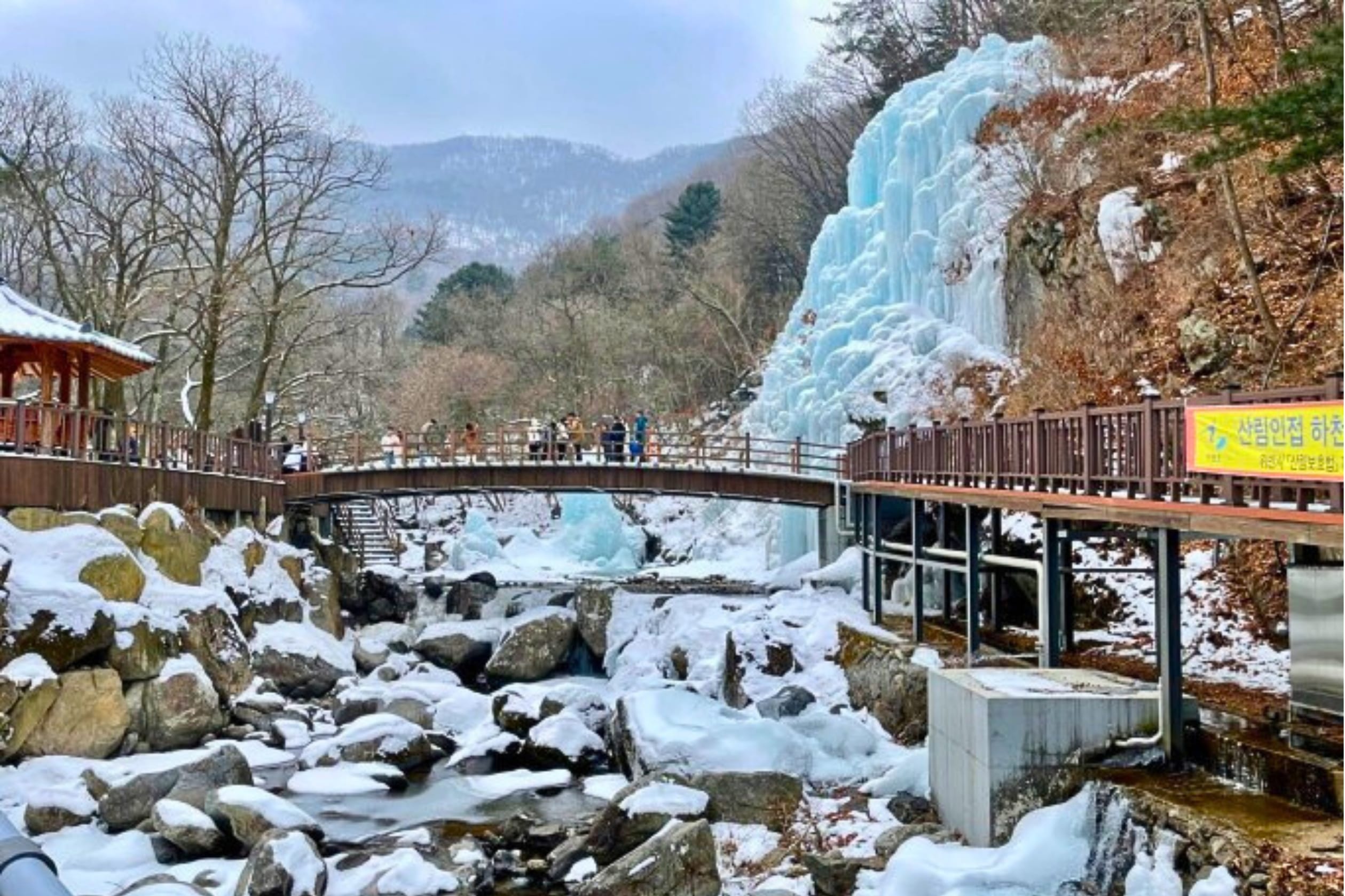 羊駝牧場 / 南怡島 / 江村鐵路自行車 / 晨靜樹木園 / 樂高樂園 /  塗鴉秀 / 猛男秀一日遊