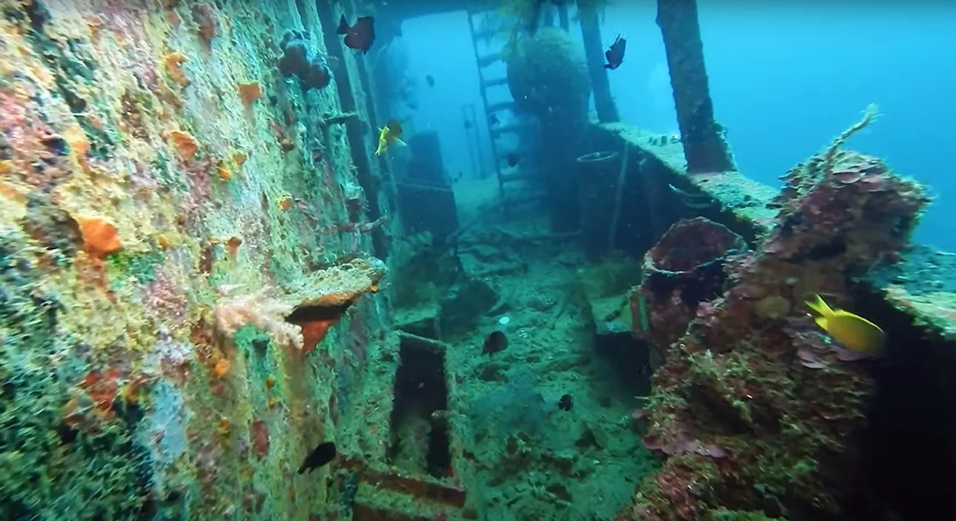 長灘島 PADI 潛水中心進階潛水課程