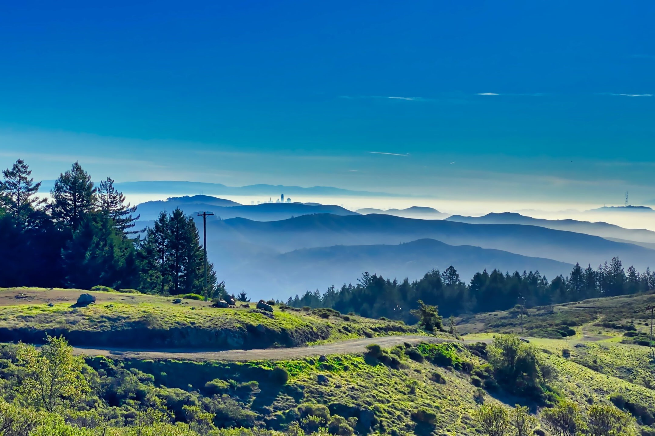 Golden Gate Bridge Bike Tour with Muir Woods & Sausalito