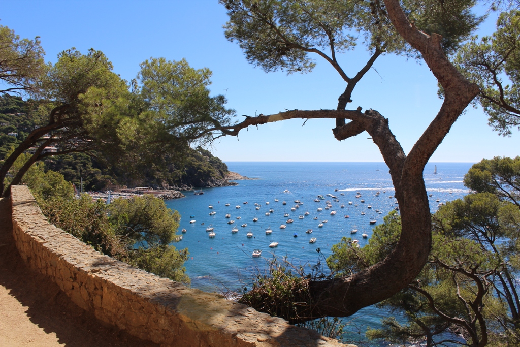 Costa Brava Full-Day Tour from Barcelona