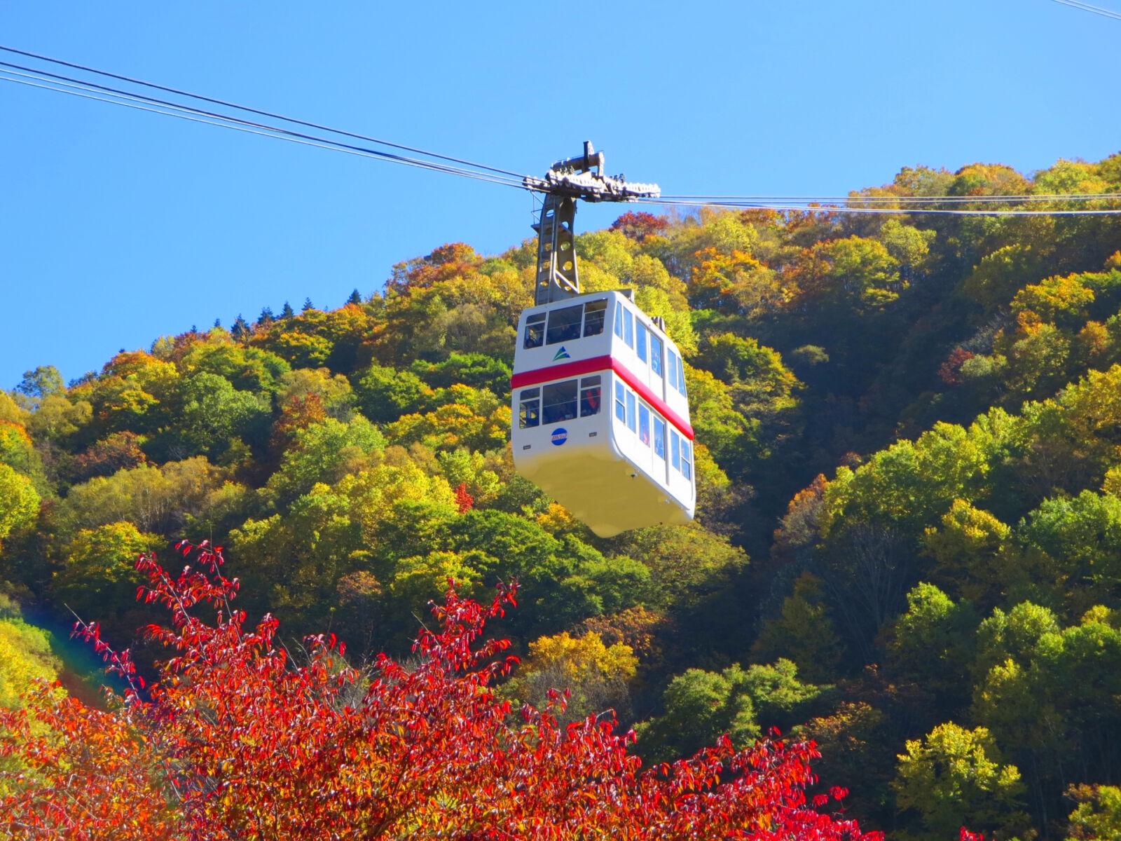 新穗高高空纜車 & 阿爾卑斯上高地一日遊（高山出發）