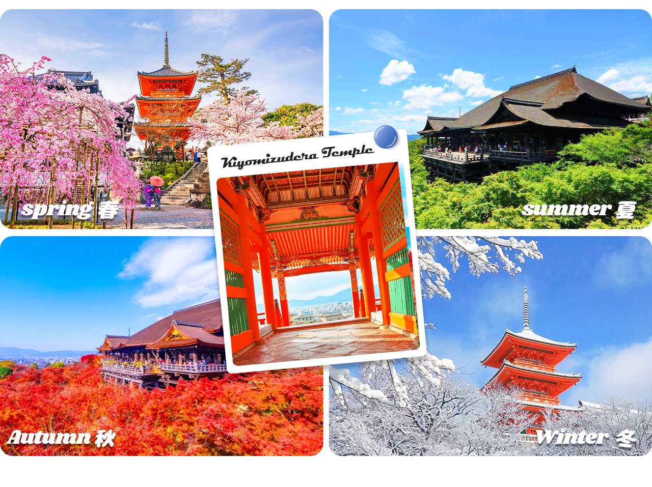 春賞櫻、秋觀楓，站在舞臺遠眺京都市景，美不勝收⛩️。