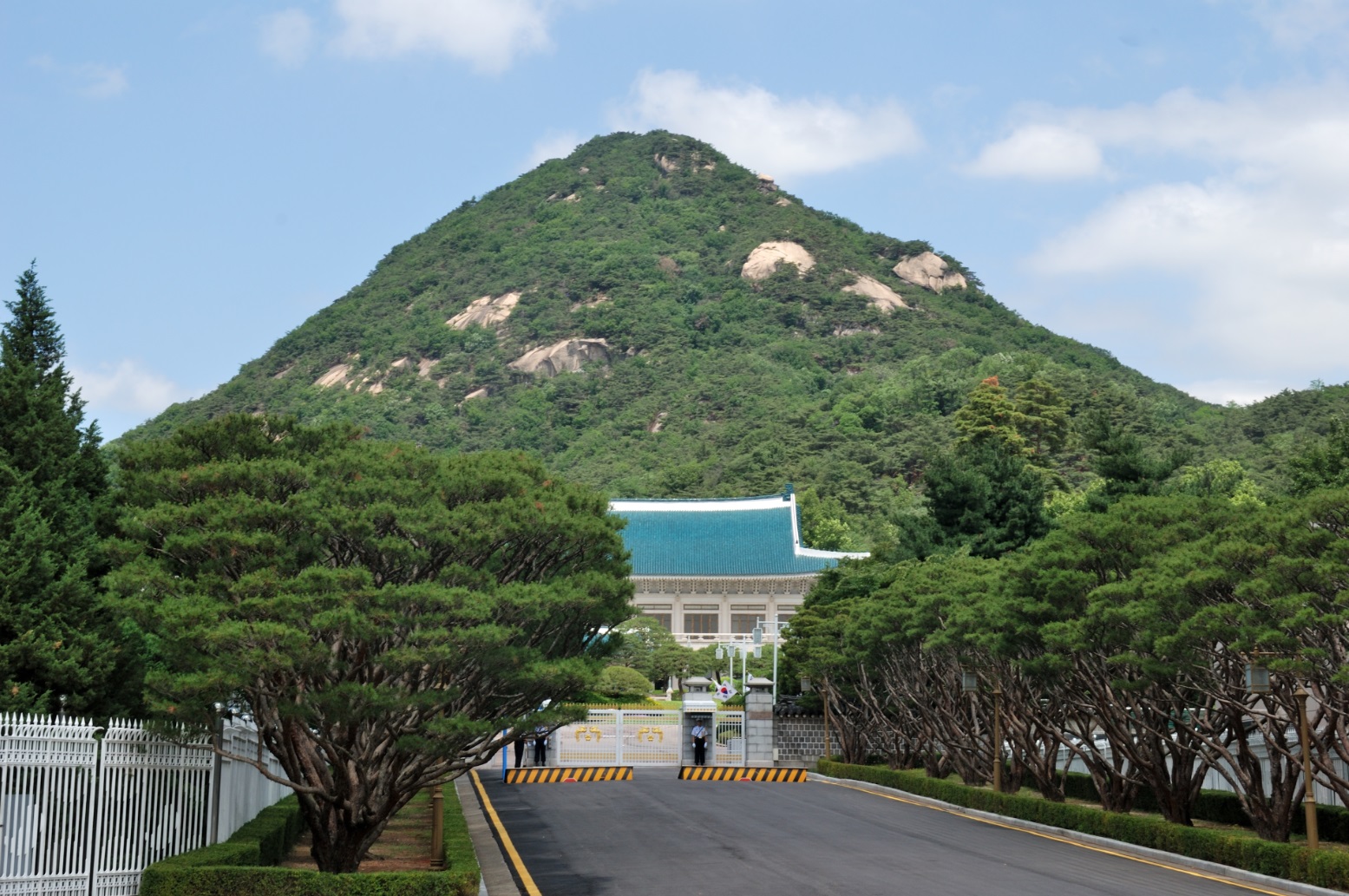 青瓦臺 (pass bby)