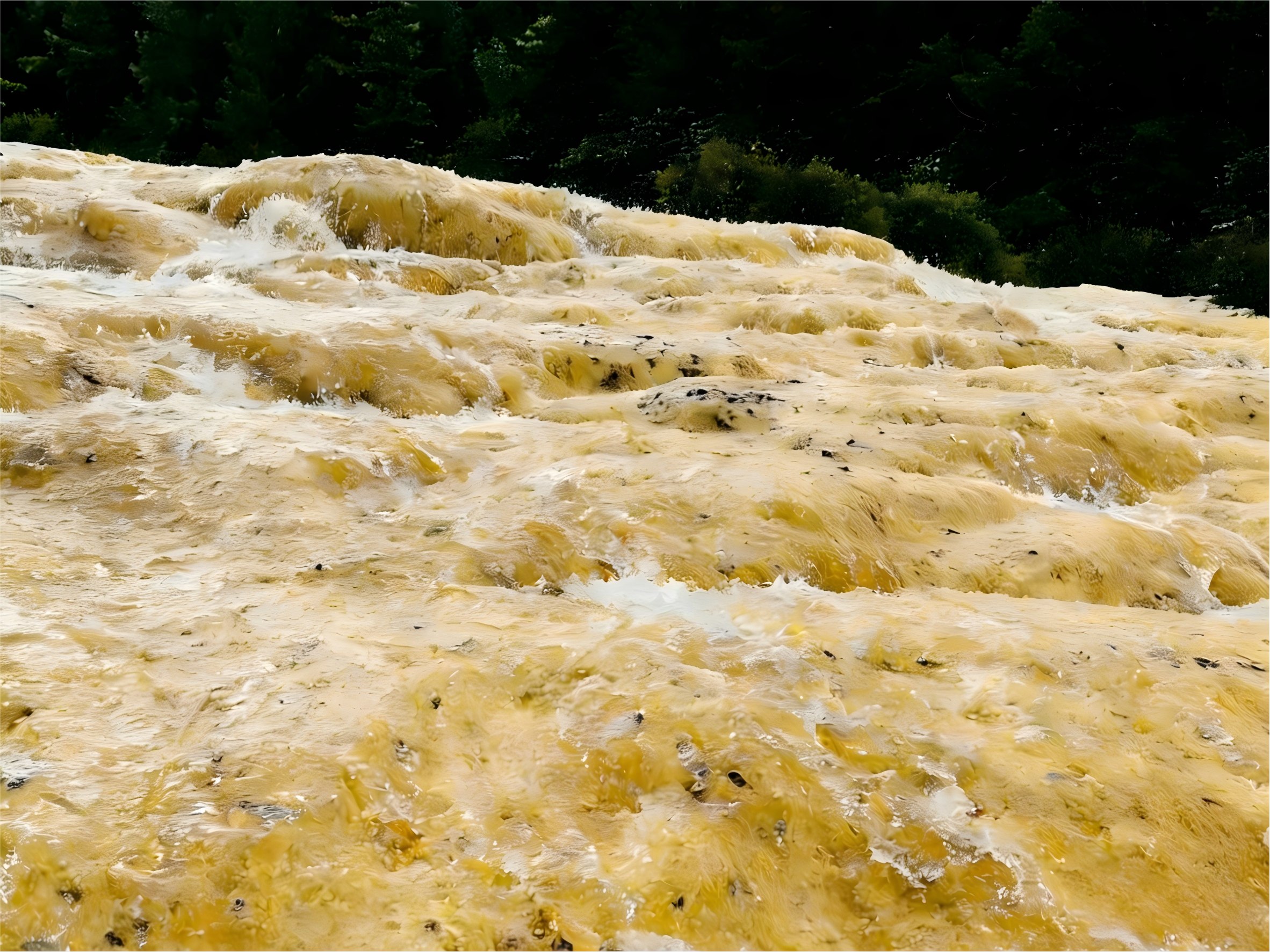 黃龍-【金沙鋪地】是目前世界上發現的同類地質構造中，狀態最好、面積最大、距離最長、色彩最豔的地表鈣華灘流，被譽為黃龍世界三大之最之一。鈣華灘流呈現金色，猶如流淌的黃金，陽光照耀下，波光粼粼，美不勝收。