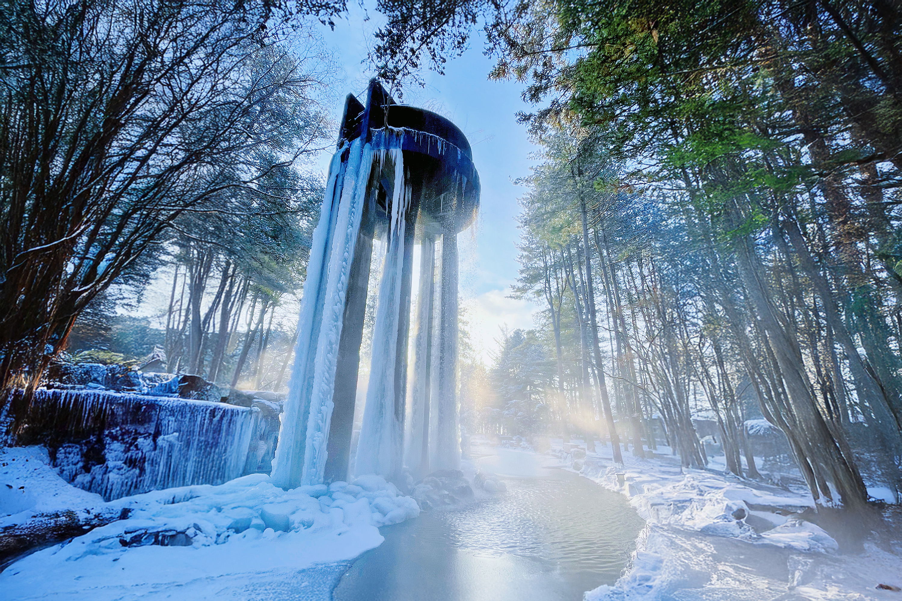 Nami Island/Alpaca World/Rail Bike/Begonia Bird Park/Cherry Blossoms