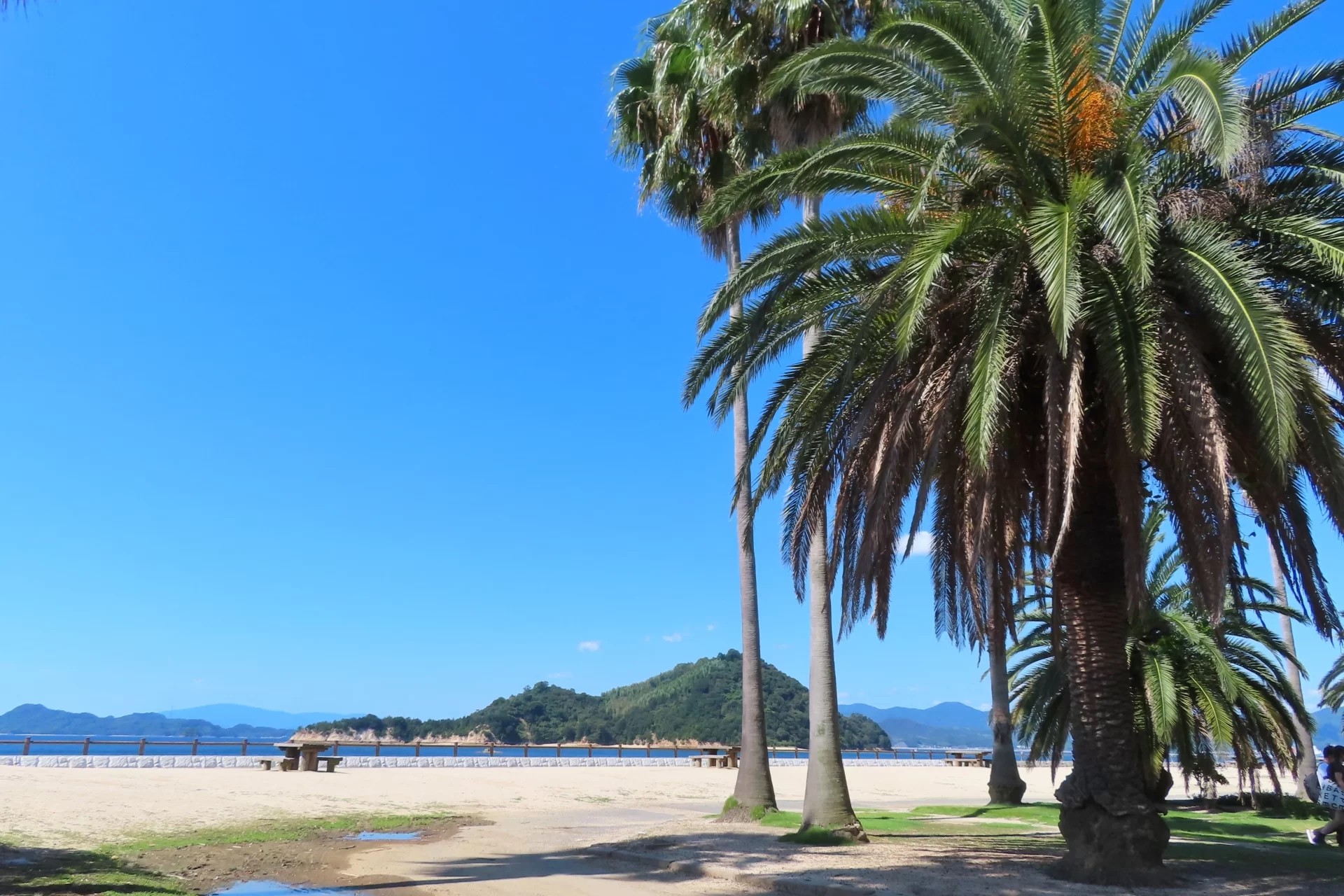 一日遊：竹原歷史街道與兔島
