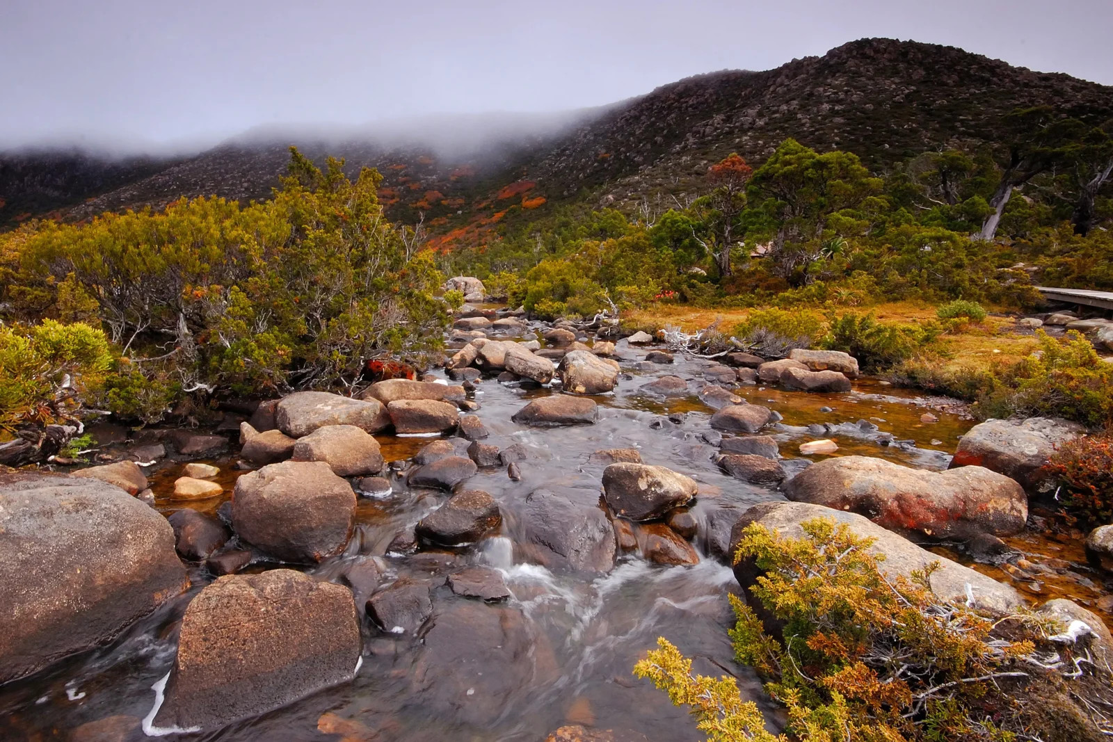Hobart Mount Field National Park Private Full-Day Tour