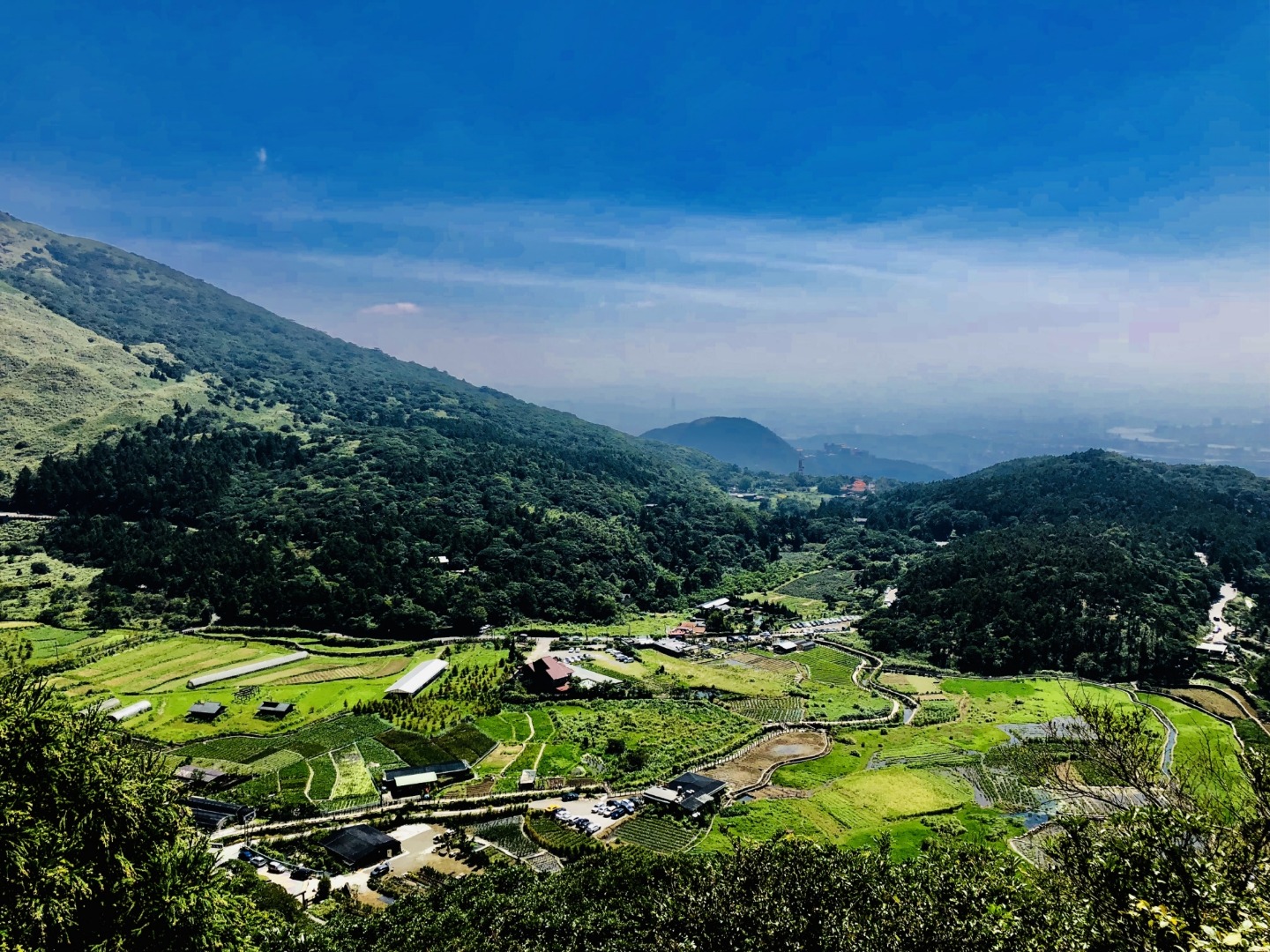 陽明山包車一日遊：竹子湖＆小油坑＆地熱谷(台北出發)