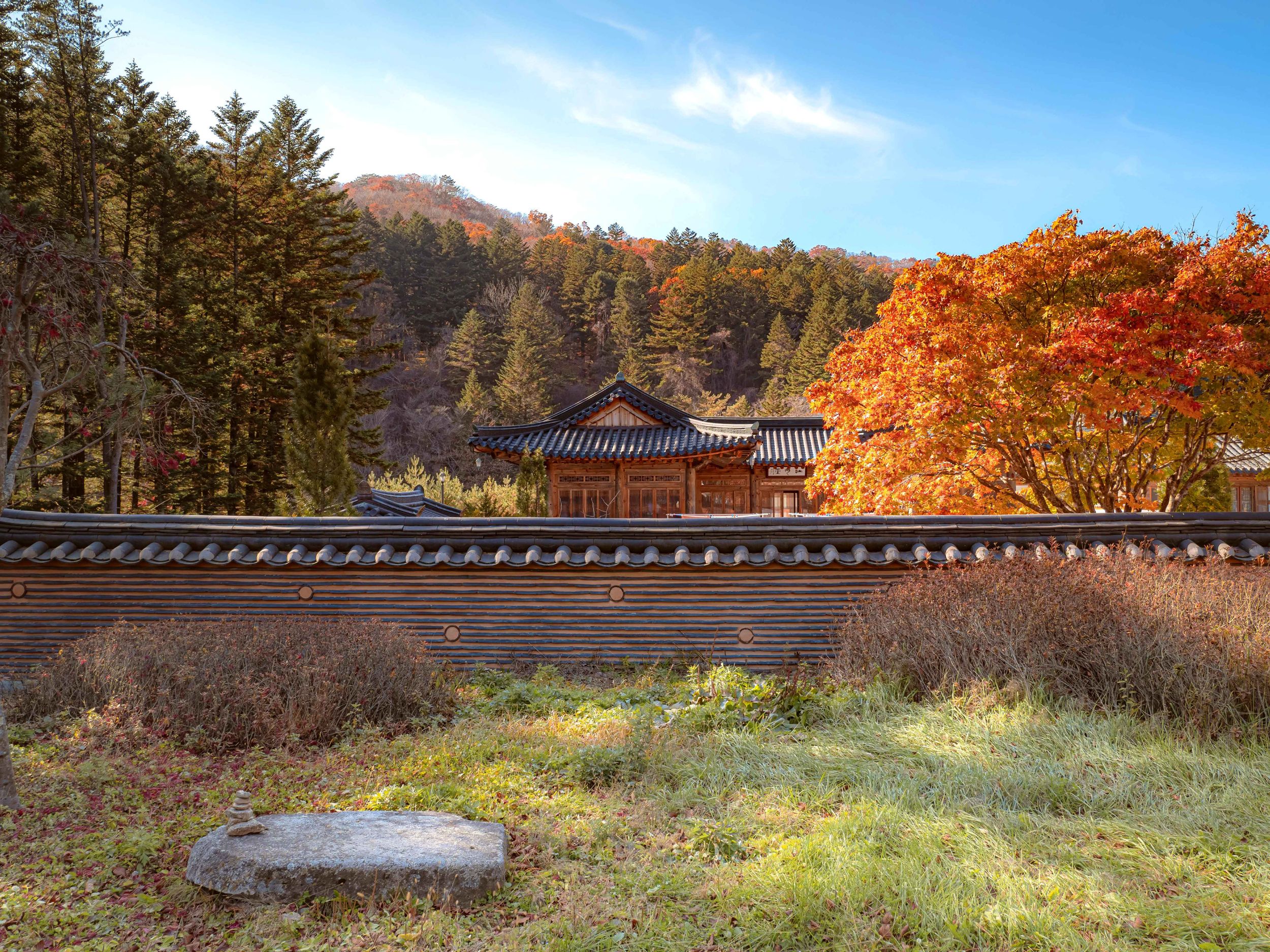 Balwangsan Cable Car from Seoul: Scenic Highland Views&Forest Trails