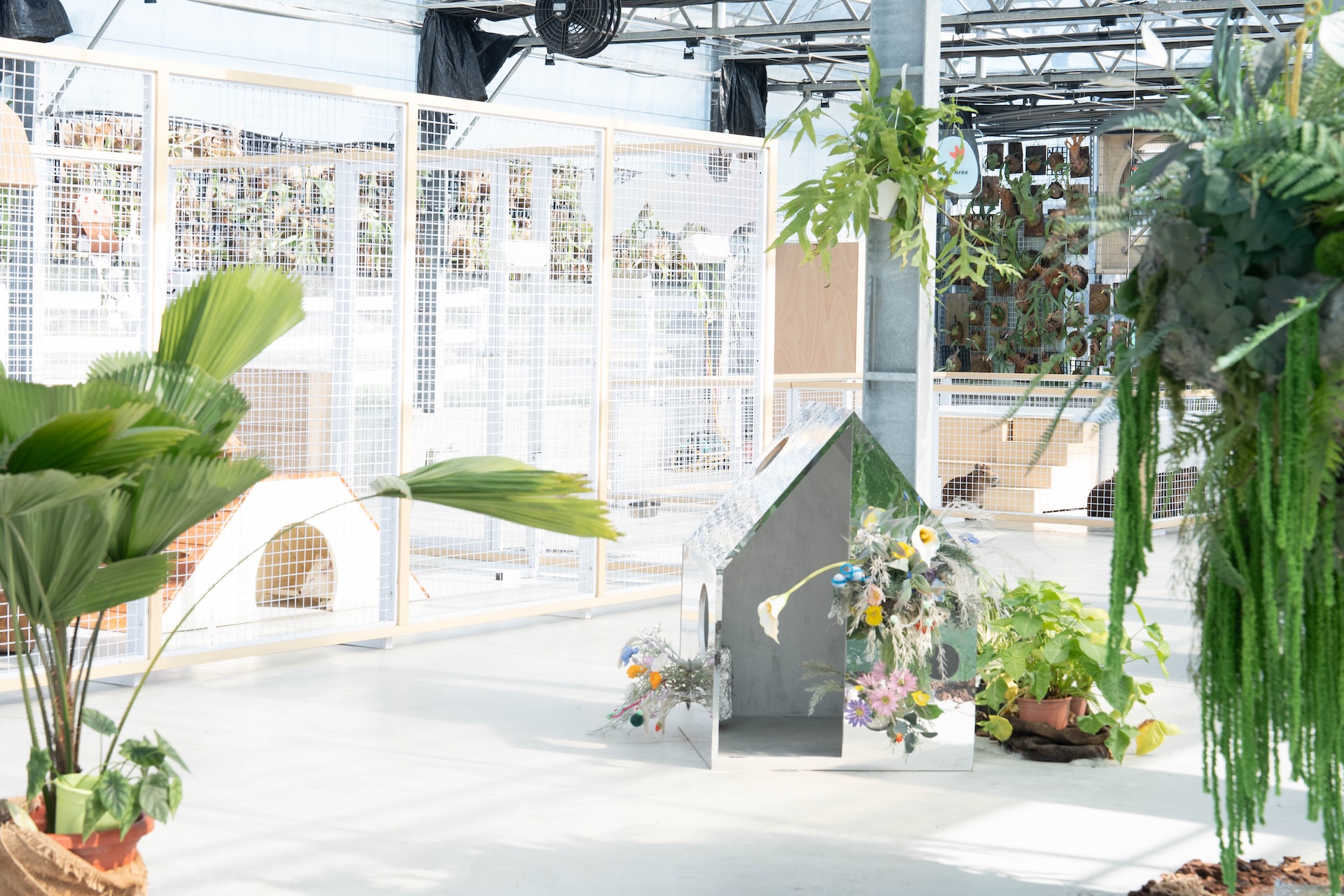 文青溫室角落佈置超好拍 文青溫室角落佈置超好拍