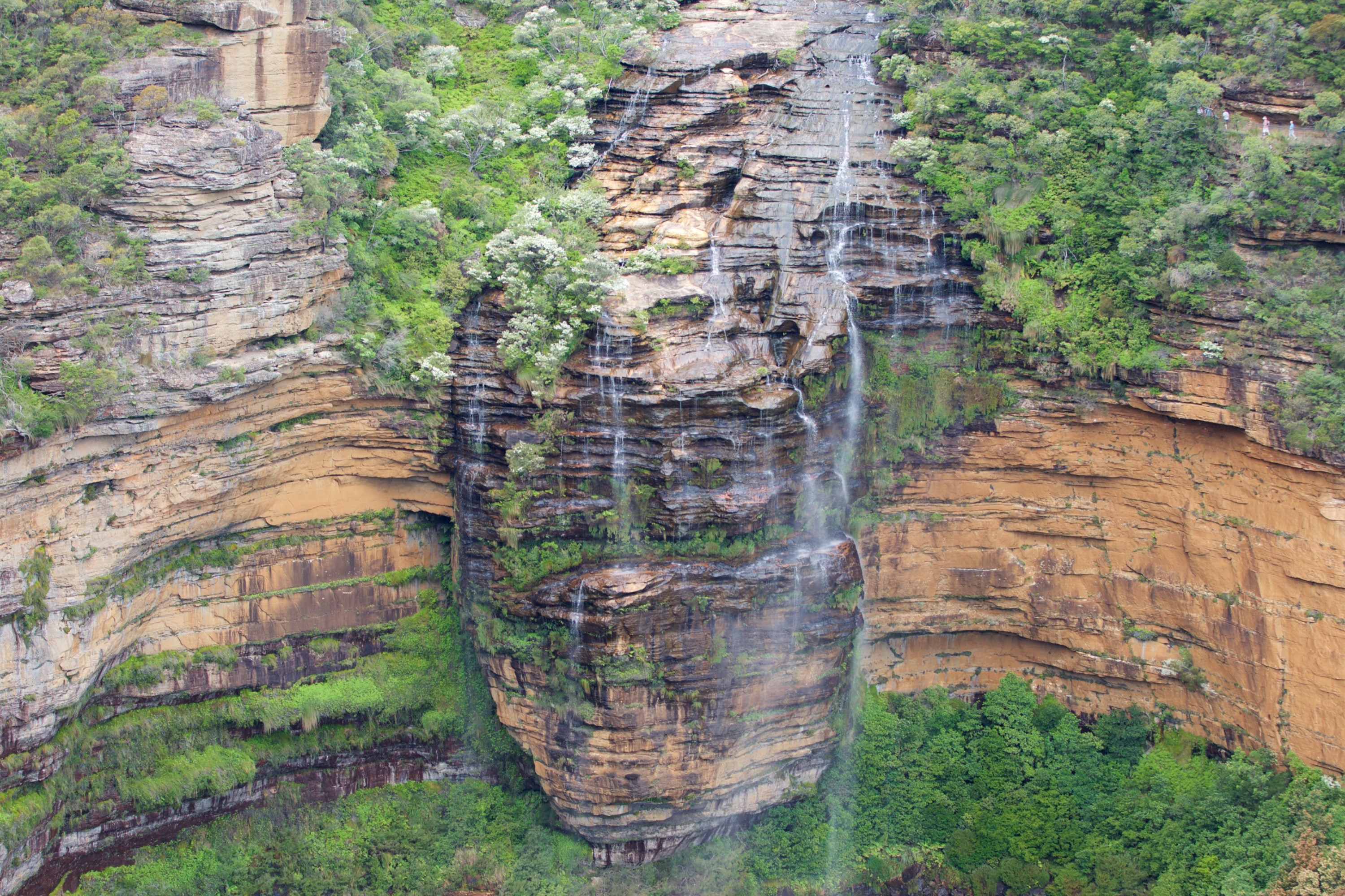 Blue Mountains Private SUV Day Tour