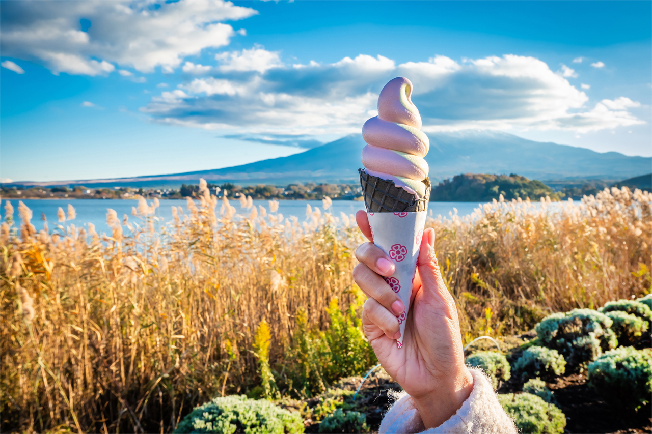 公園附近有小型咖啡館與餐廳，可休息、享用飲品，或者購買紀念品和當地特產。推薦品嚐當地特色的薰衣草冰激凌哦。