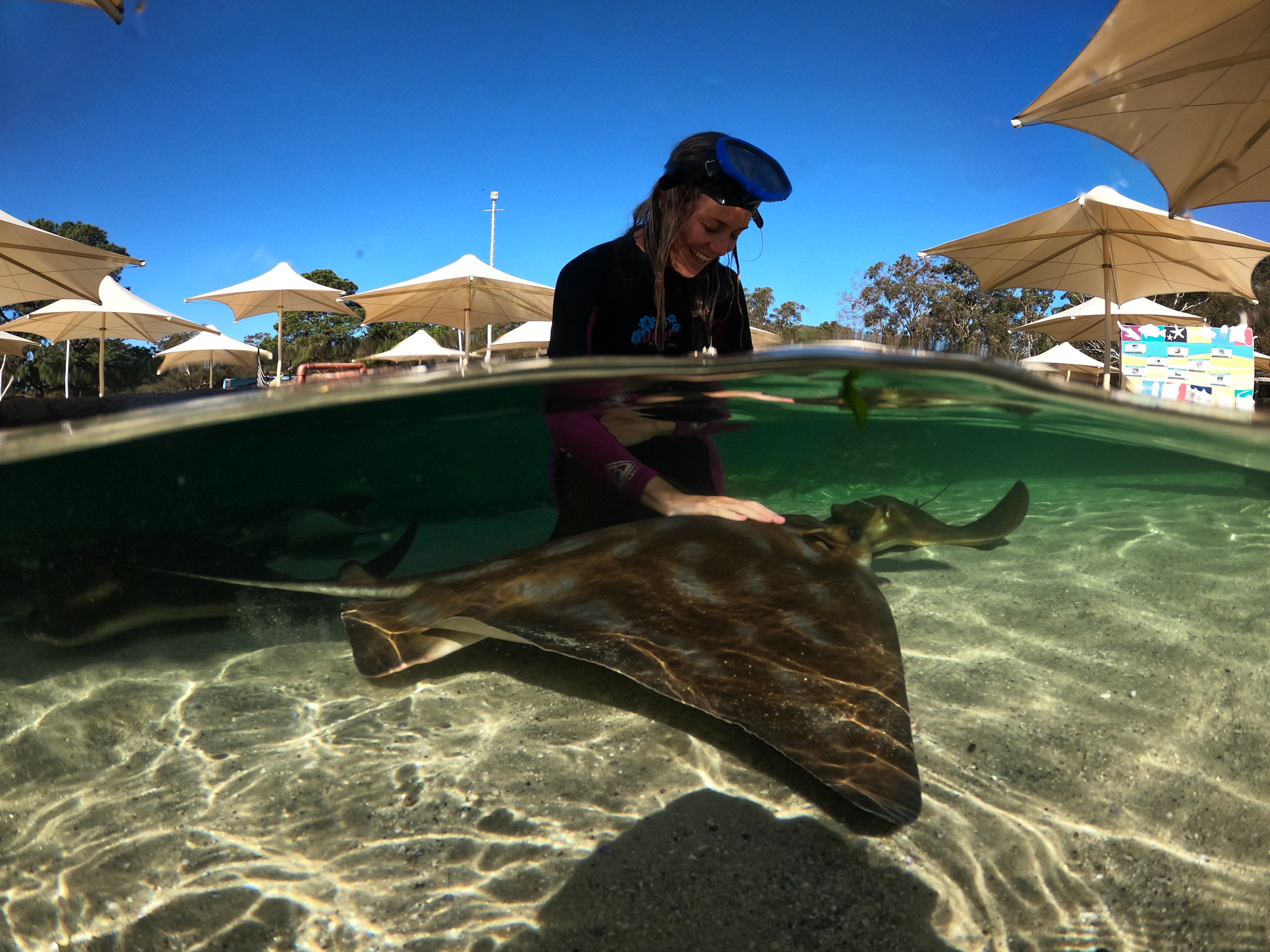 Irukandji Shark & Ray Encounters 水族館門票