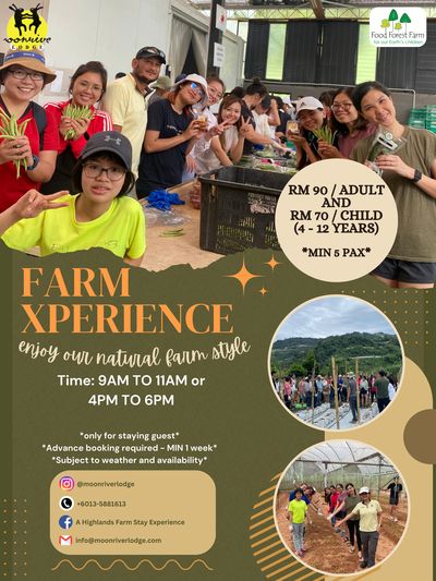 Farm Xperience in Lojing Highlands