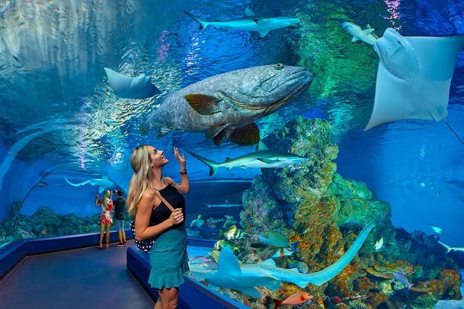 凱恩斯 (Cairns) 熱氣球飛行 + 免費進入凱恩斯水族館 (Cairns Aquarium)