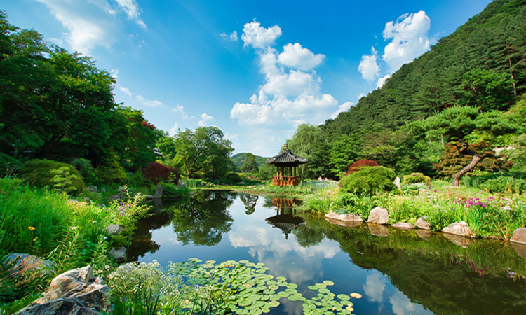 南怡島／韓服體驗／草泥馬樂園／鐵道自行車／小法國村／晨靜樹木園一日遊