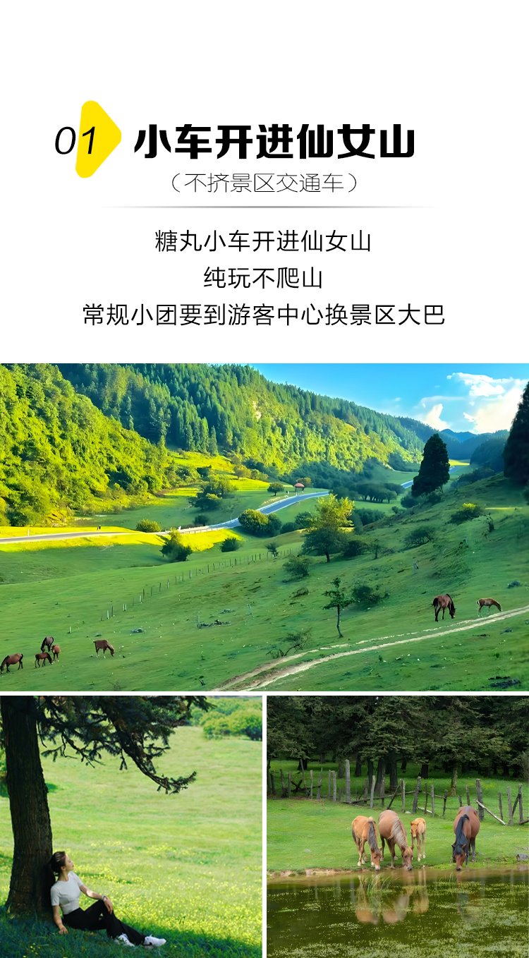 重慶武隆天生三橋仙女山國家森林公園一日遊（不坐景區大巴+小車開進仙女山）適合帶娃出行