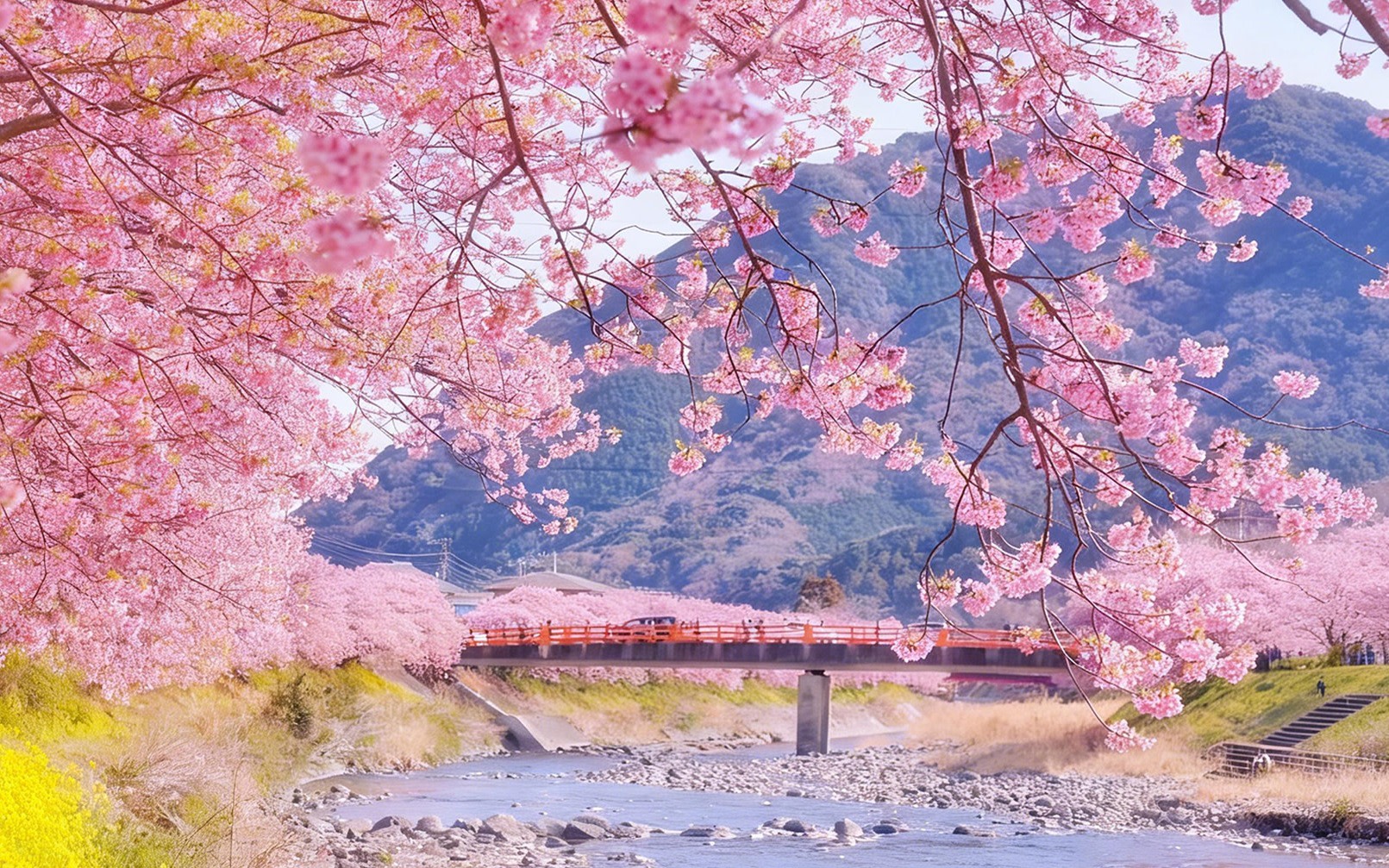 [Sakura Limited] Kawazu Cherry Blossom Festival + Strawberry Picking + Shuzenji Onsen Day Trip (Round Trip from Tokyo Shinjuku)