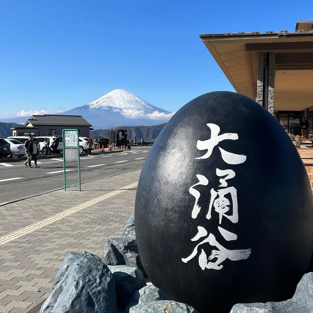富士山箱根網紅打卡/蘆之湖遊船一日遊 （東京出發）