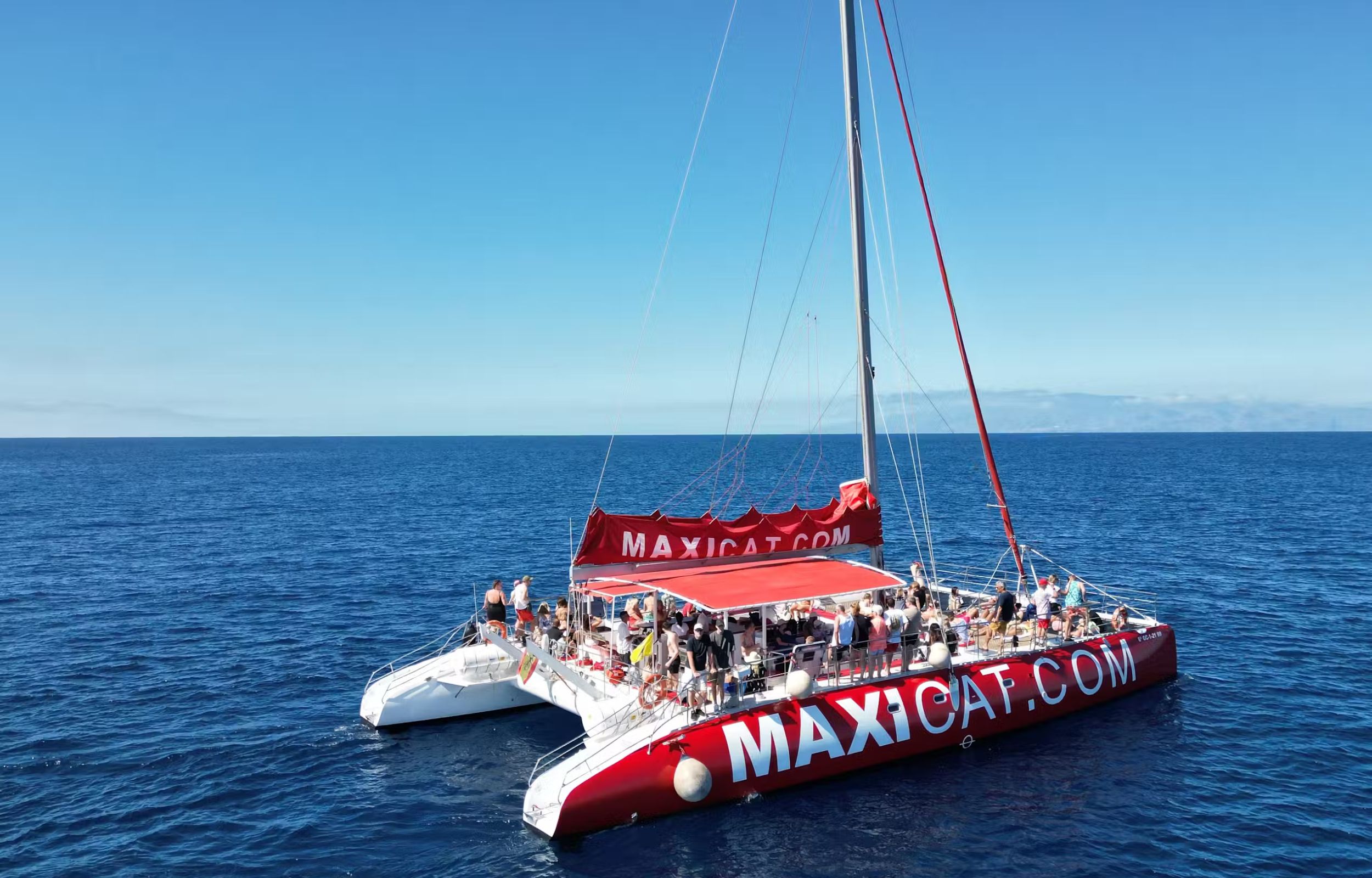 Whale and Dolphin Boat Tour in Adeje