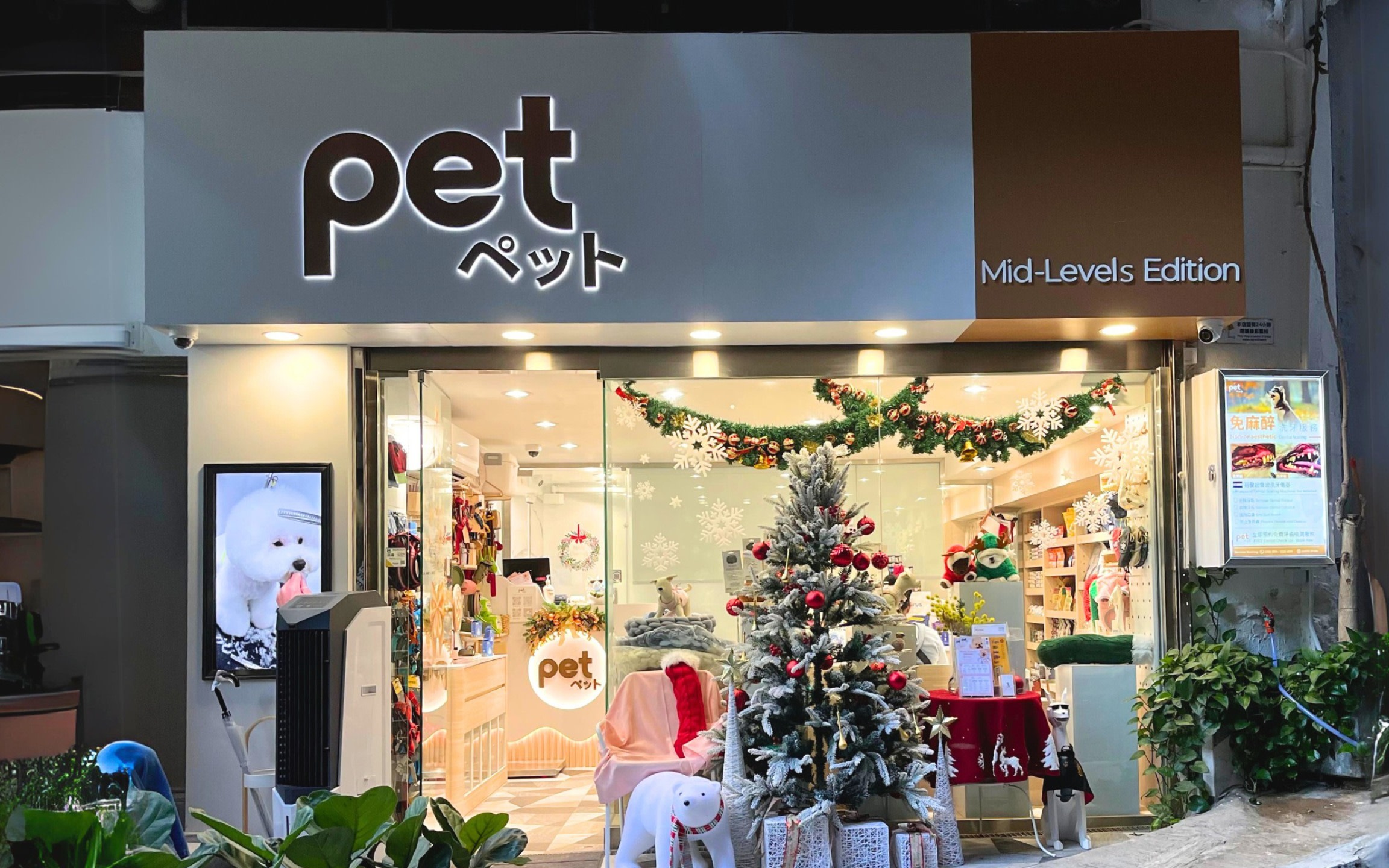 PET HK - Pet Grooming, Spa & Wellness | Mid-Levels Edition