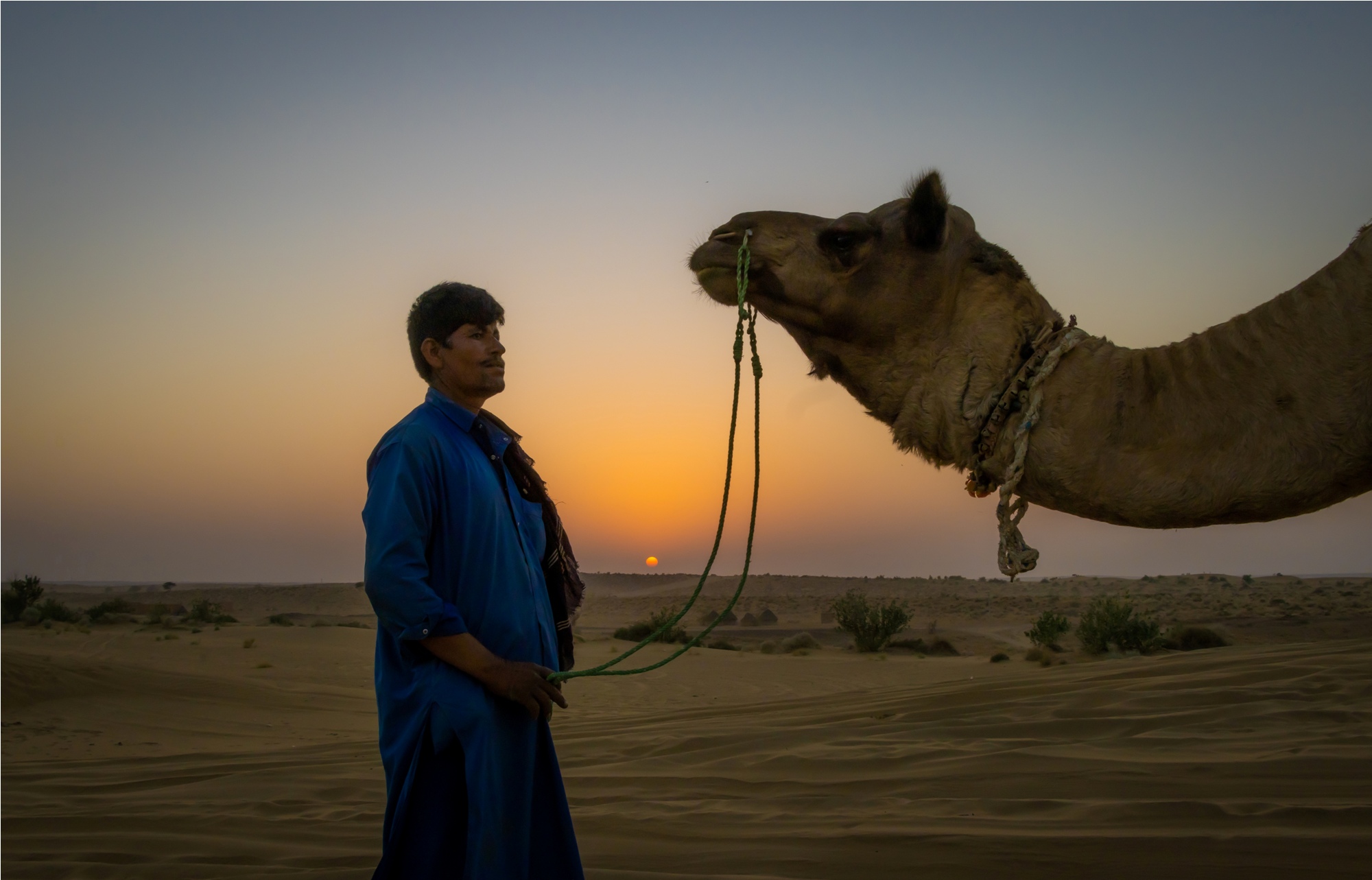 Camel Safari