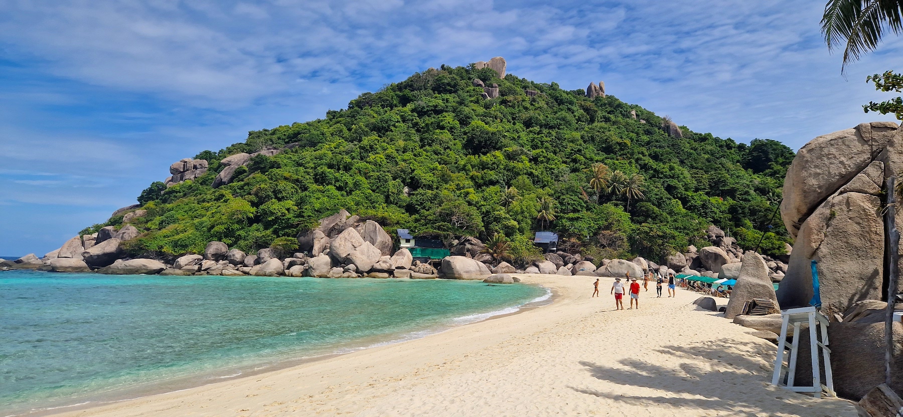 濤島：私人長尾浮潛之旅，含Nang Yuan遊覽