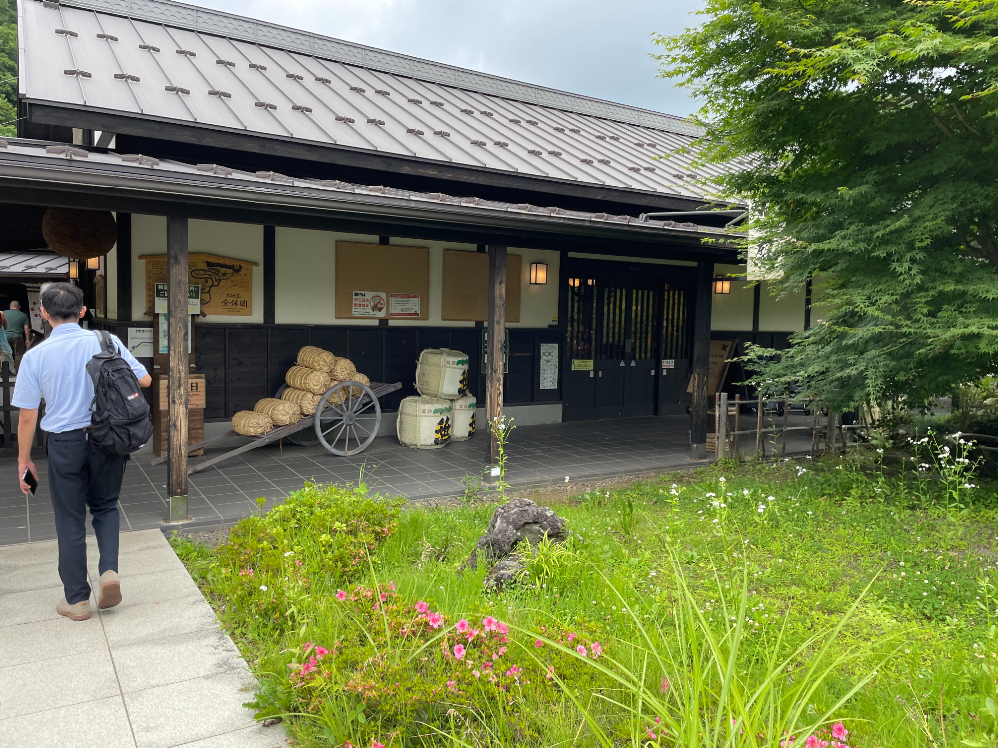 富士山 (Mt. Fuji) & 箱根 (Hakone)  東京 (Tokyo) 出發一日遊