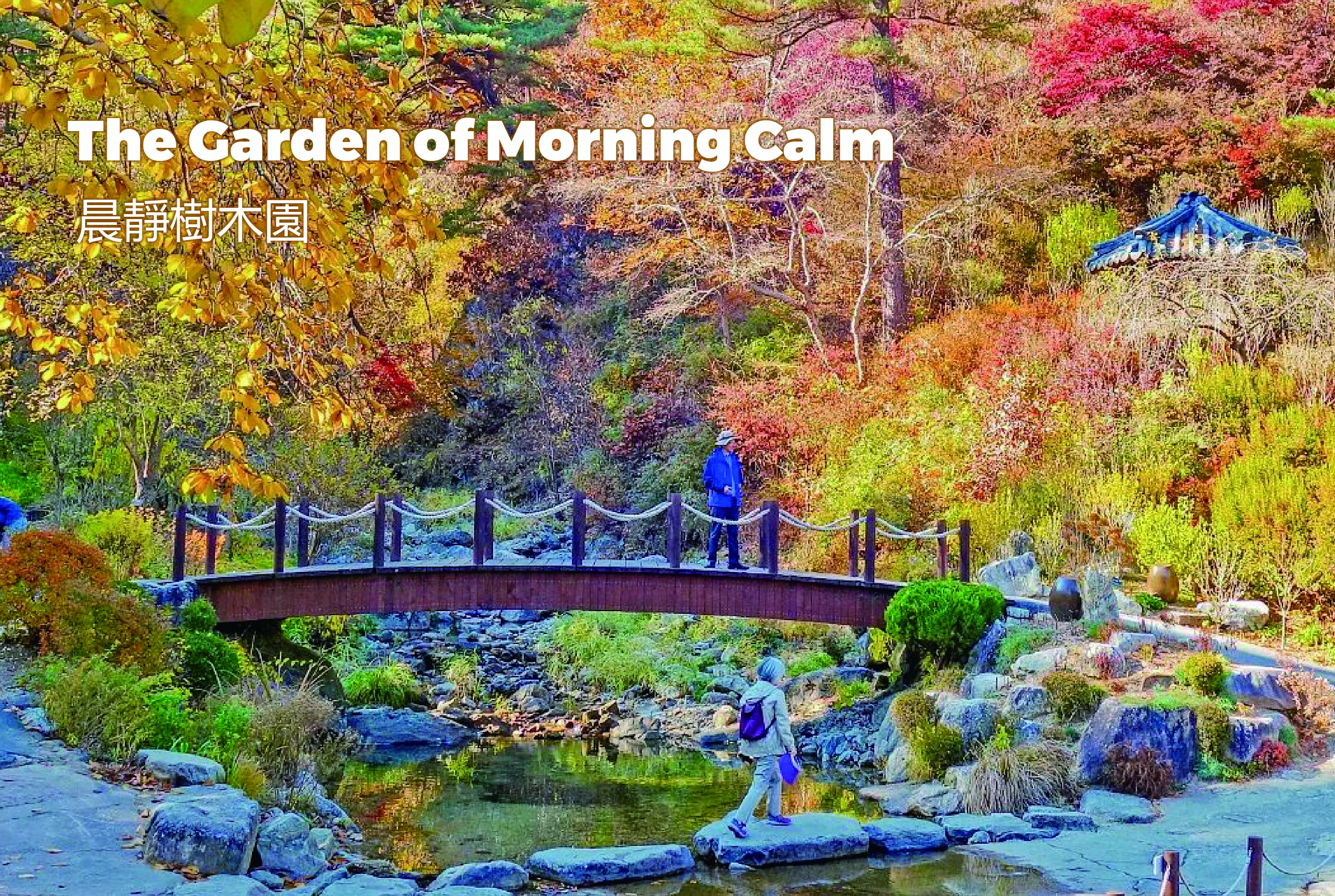 南怡島 (Nami Island) & 伊甸園冰雪世界 (Eobi Ice Valley) & 全景場 (Panorama Field) &  晨靜樹木園 (Morning Calm) 旅遊