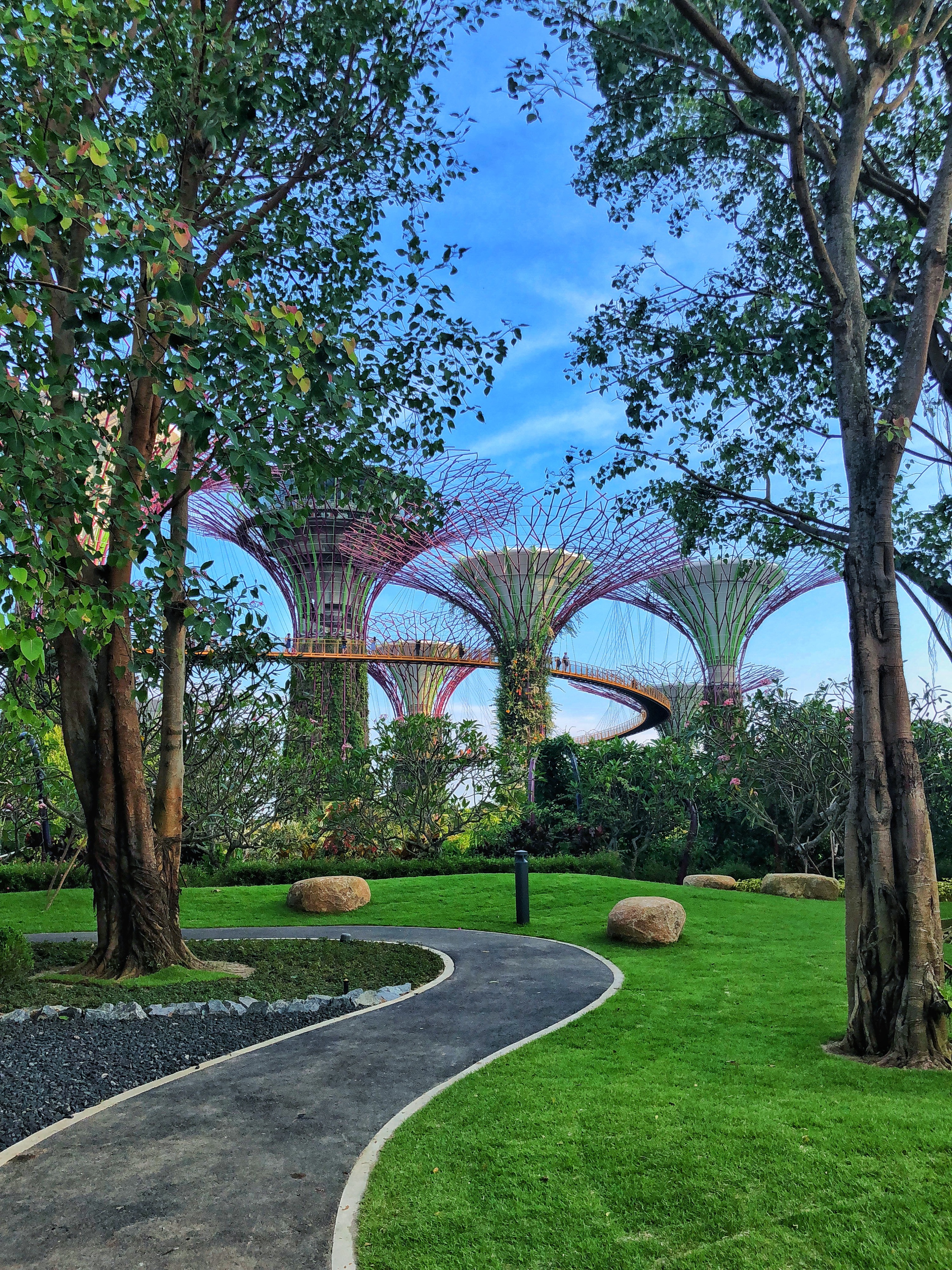 Gardens by the Bay - Supertrees, Flower Dome and Cloud Forest