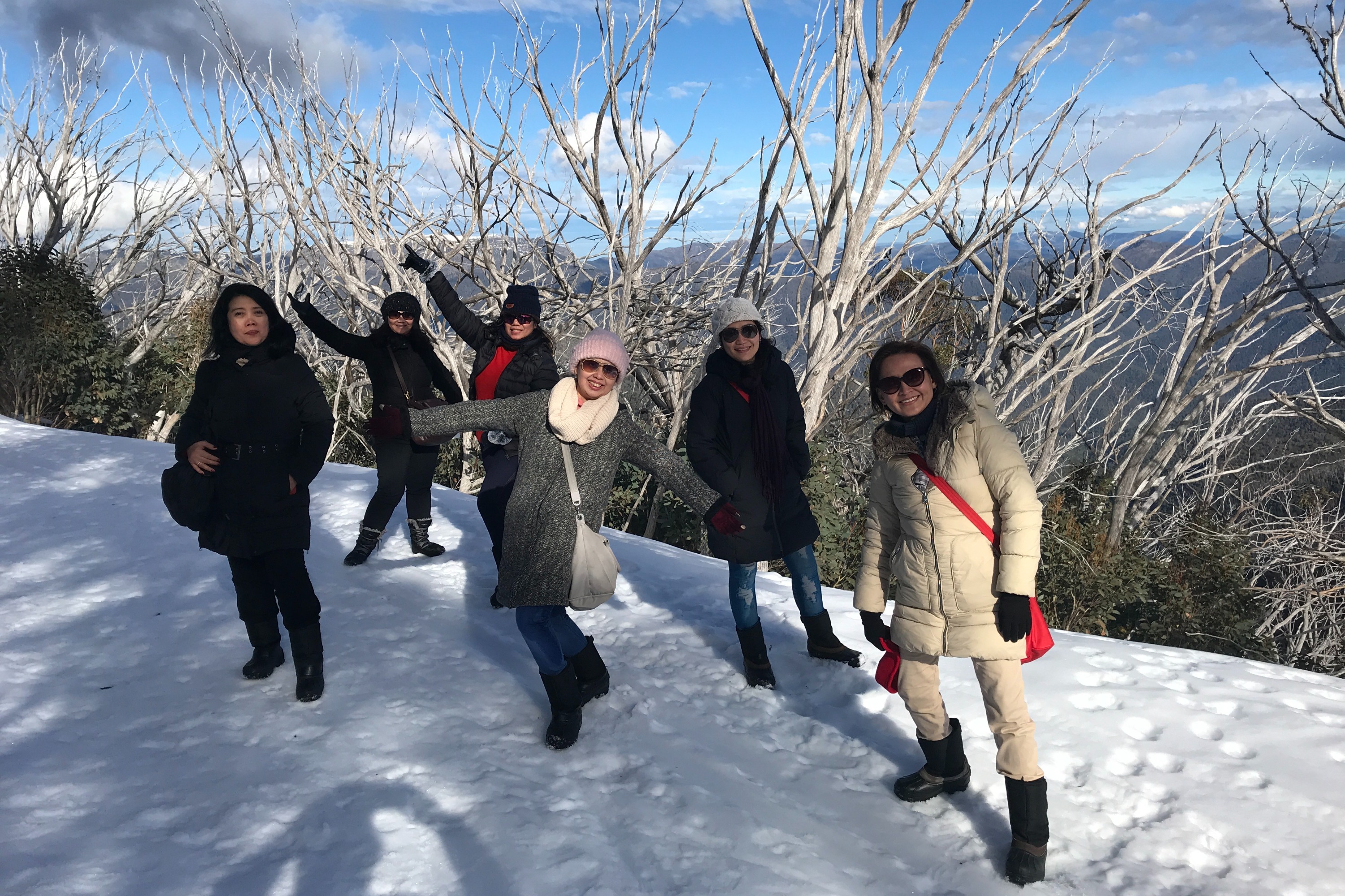 布勒山導覽之旅（墨爾本出發）