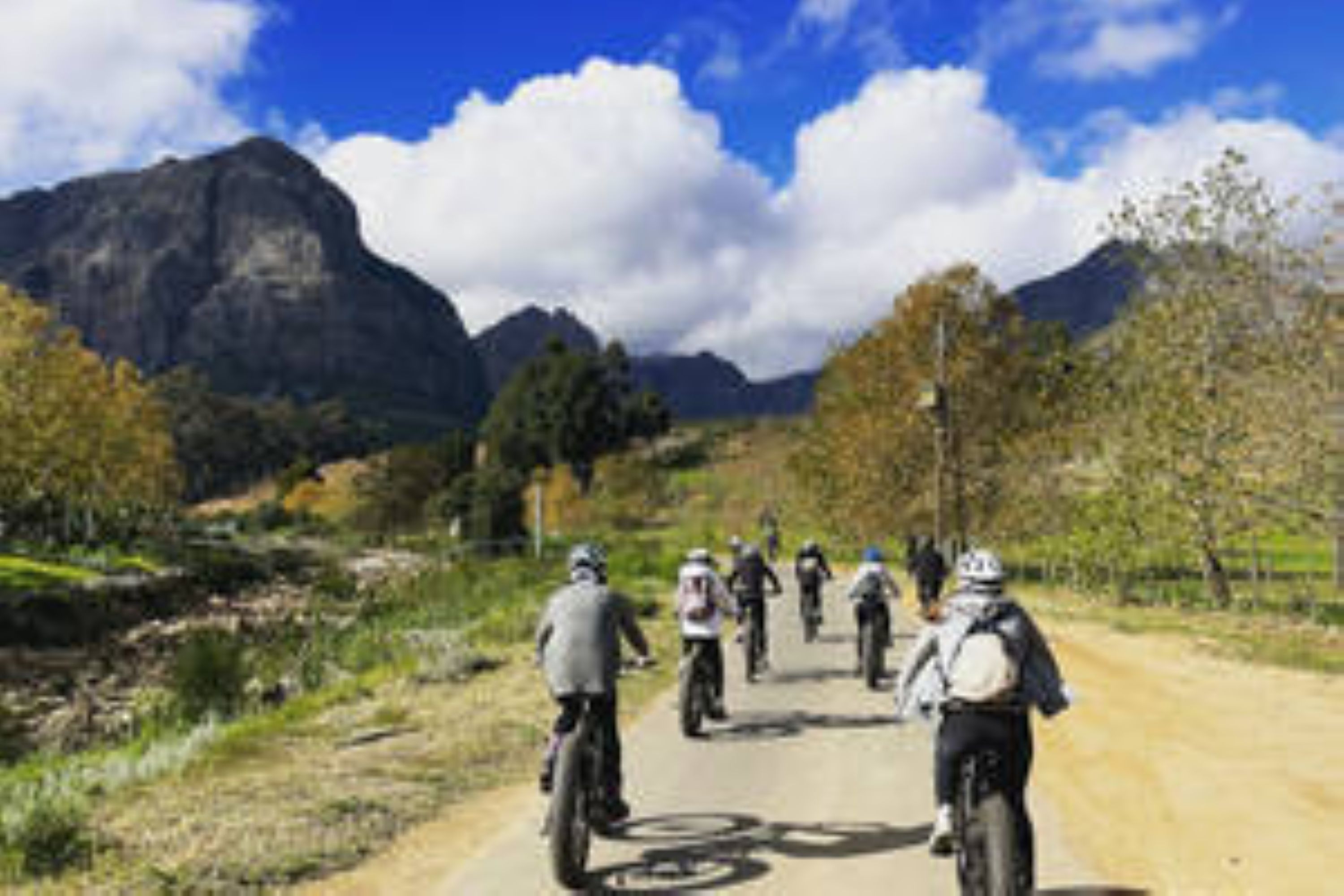 Vinebikes Stellenbosch Countryside (Half Day) 