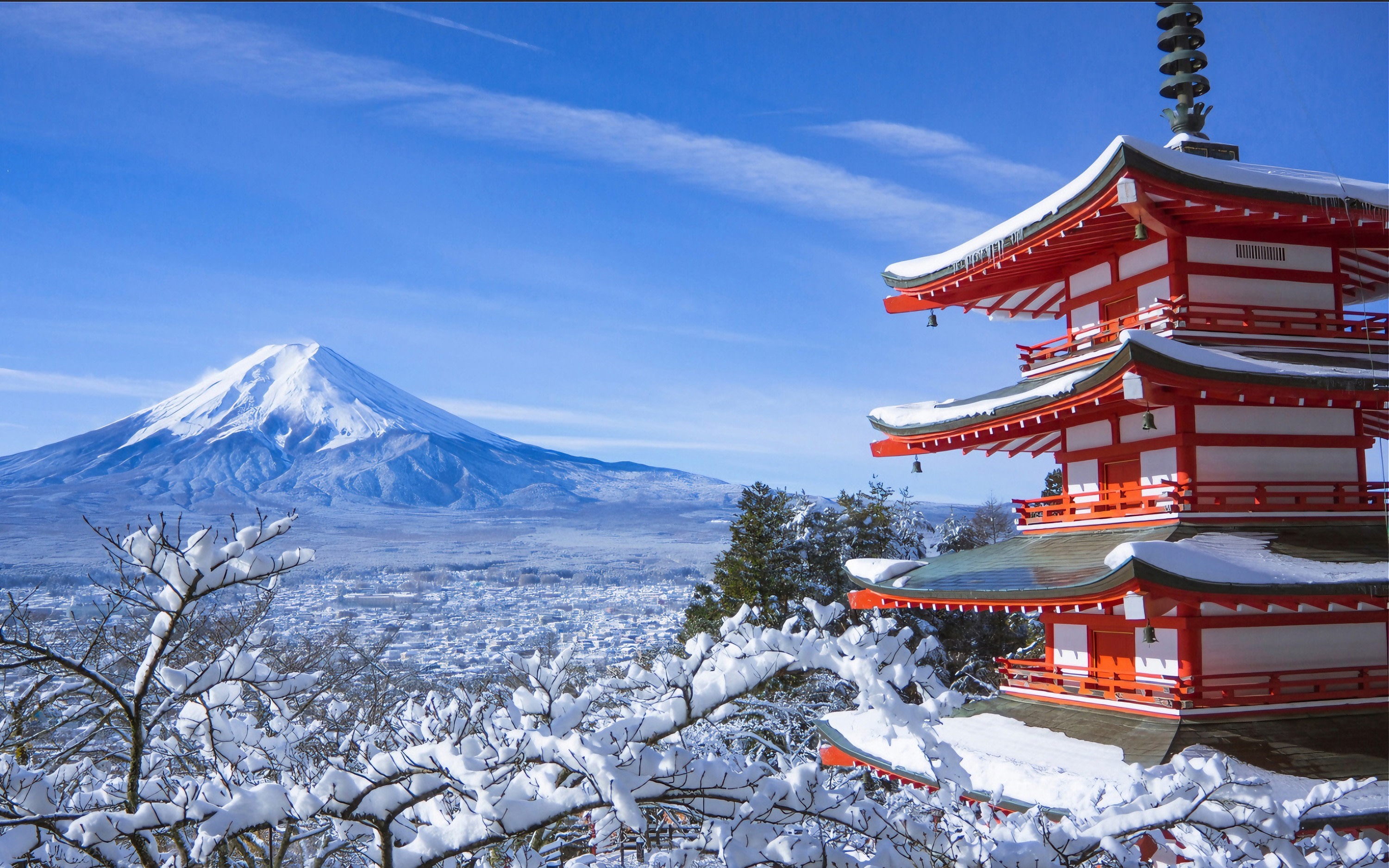 [One-Day Tour Exploring the Magnificent Views of Mount Fuji] Arakurayama Sengen Park & Lake Kawaguchi Oishi Park & Oshino Hakkai & Instagram-Famous Lawson & Nikawa Tokeiten (Departure from Tokyo)