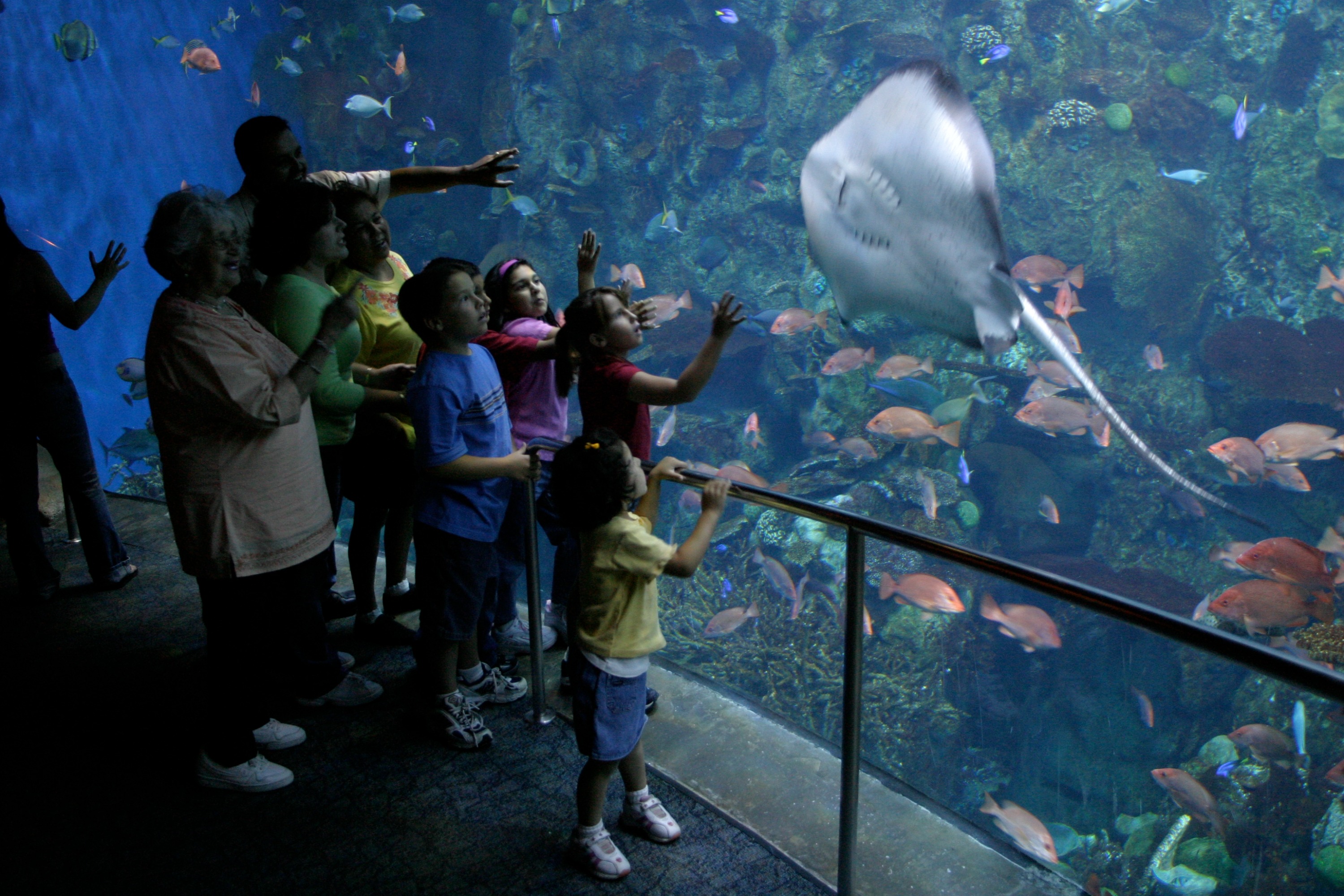 加州太平洋水族館門票