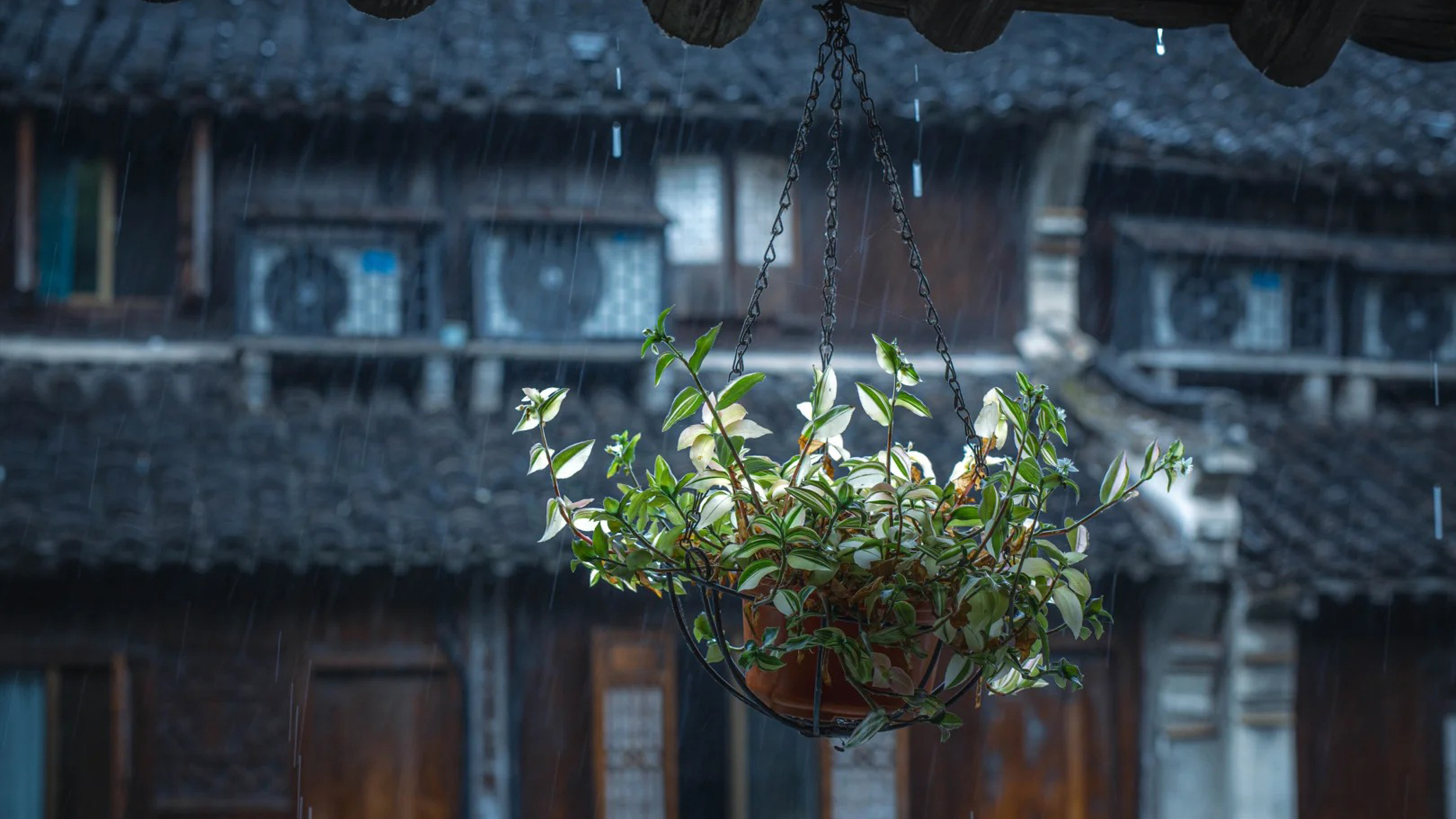 杭州往返嘉興烏鎮一日遊（體驗江南水鄉古鎮的小橋流水，多條線路可選）