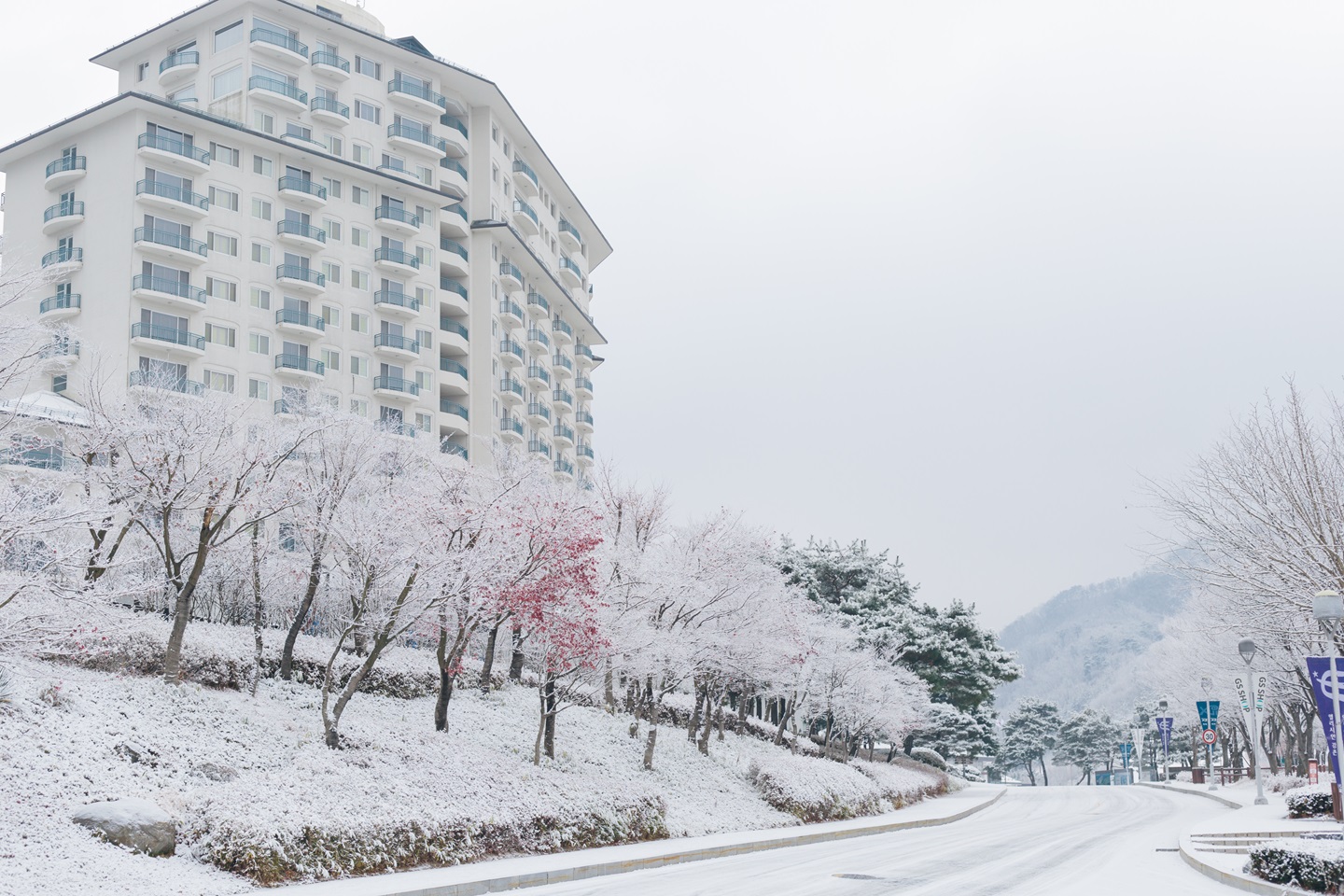 伊利希安江村滑雪度假村一日遊（首爾出發）