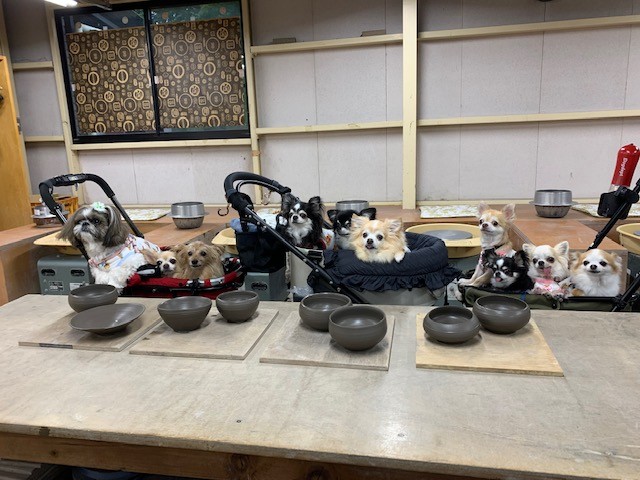 Pottery Experience in Shiga