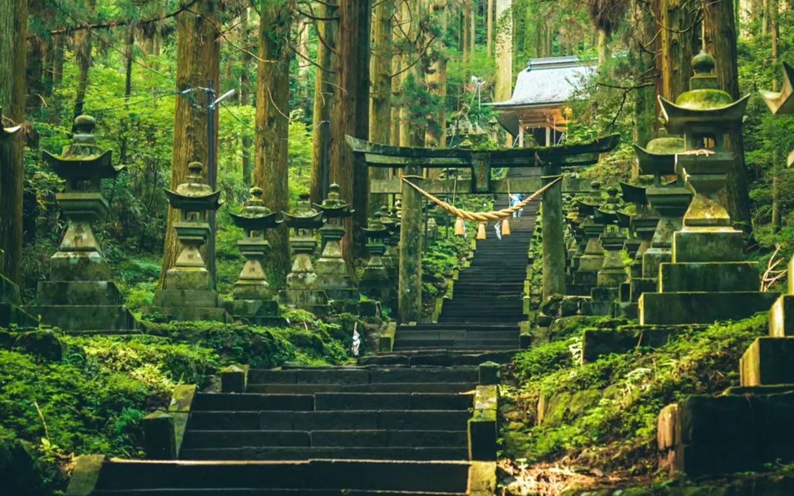 Kyushu Takachiho Day Trip | Takachiho Gorge Boat Ride, Kamishikimi Kumanoza Shrine/Takachiho Railway, Mount Aso, Kusasenri (Starting from Kumamoto)