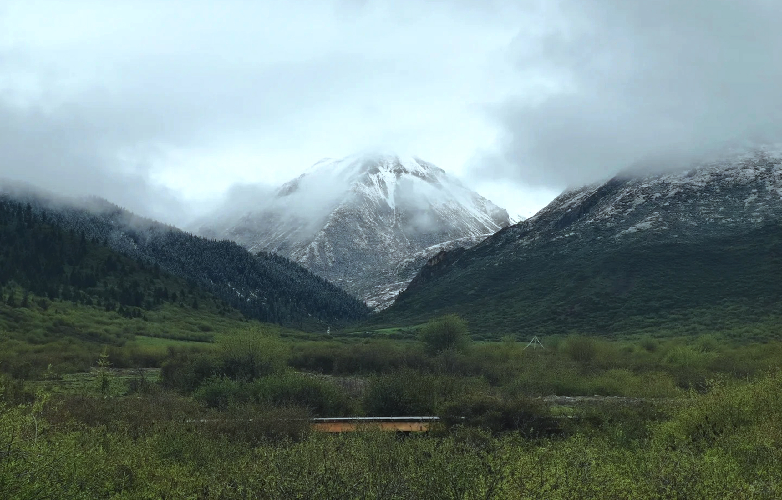 四川成都九寨溝5日動車高端遊（成都自由行+九寨溝+黃龍+私家雪山草原+藏族宮廷宴+動車往返+保姆車）
