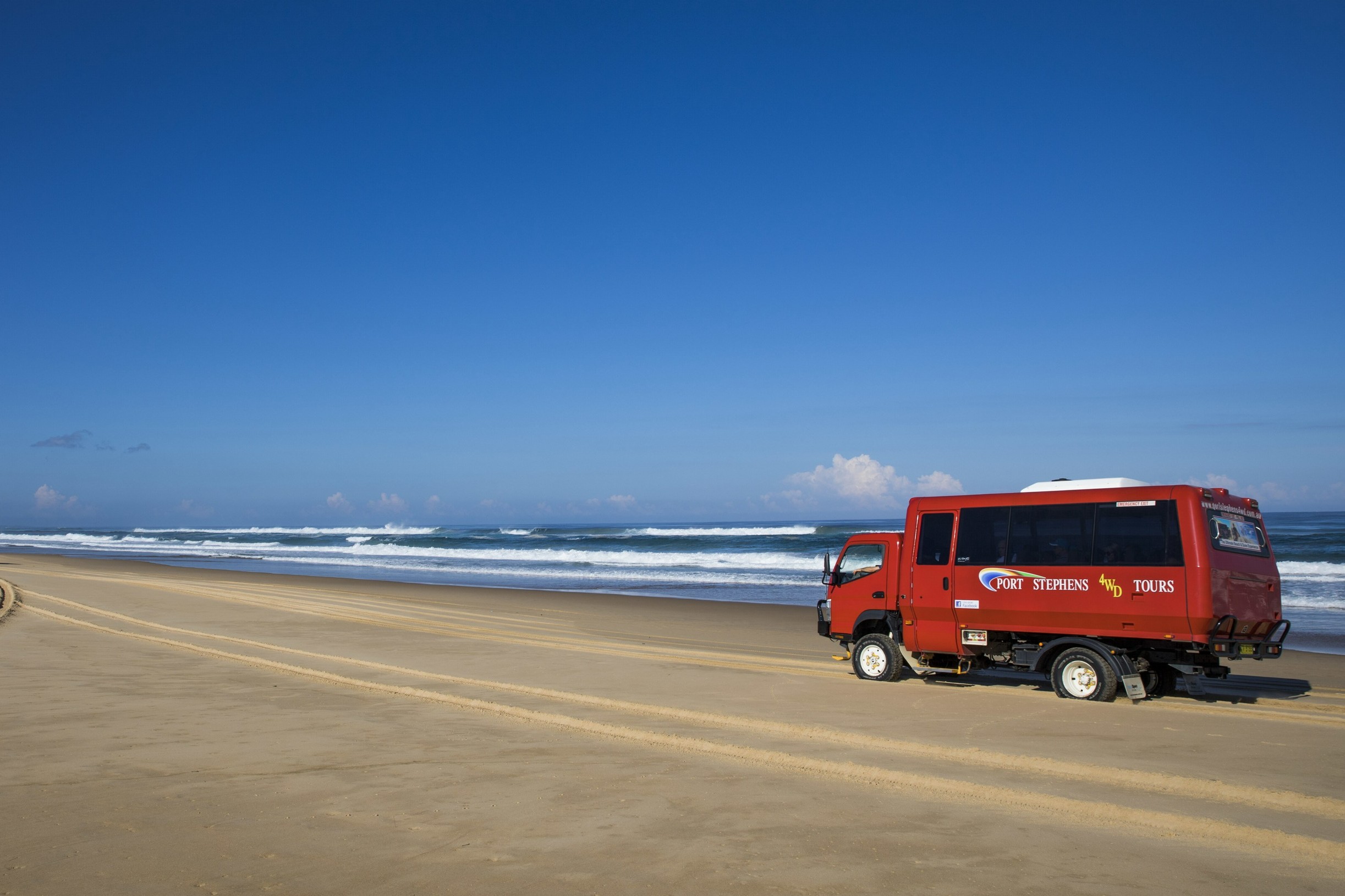 Port Stephens Dolphin Watching Day Tour