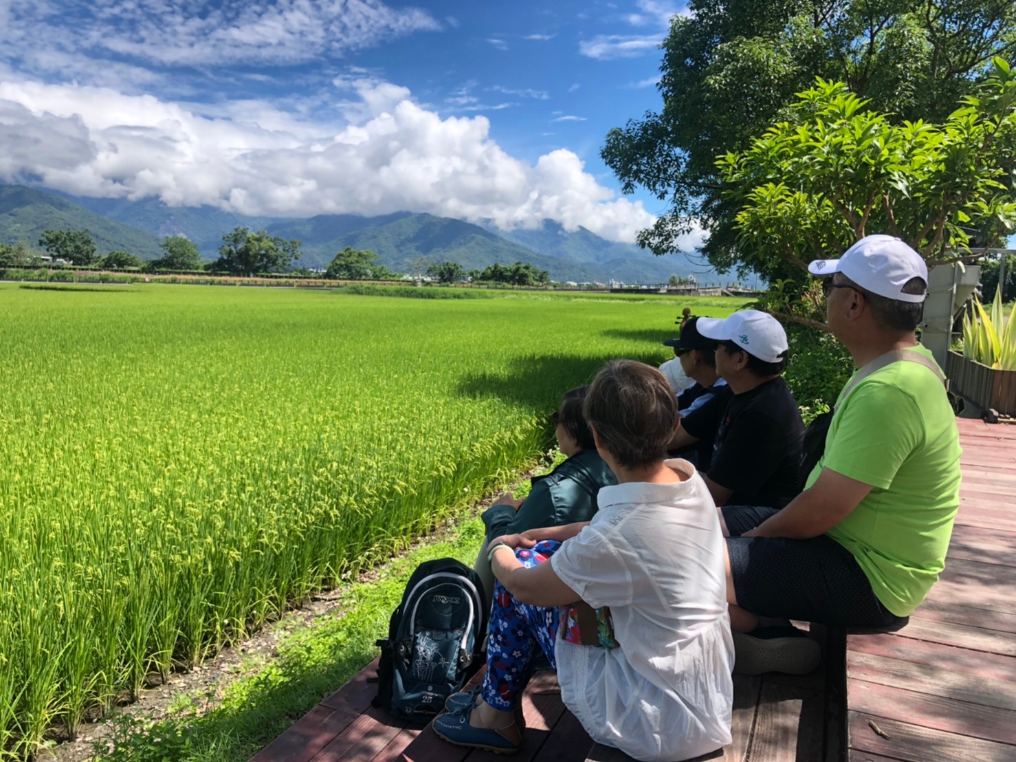 包車遊覽｜台東縱谷線半・一日遊：伯朗大道＆鹿野高台＆利吉惡地