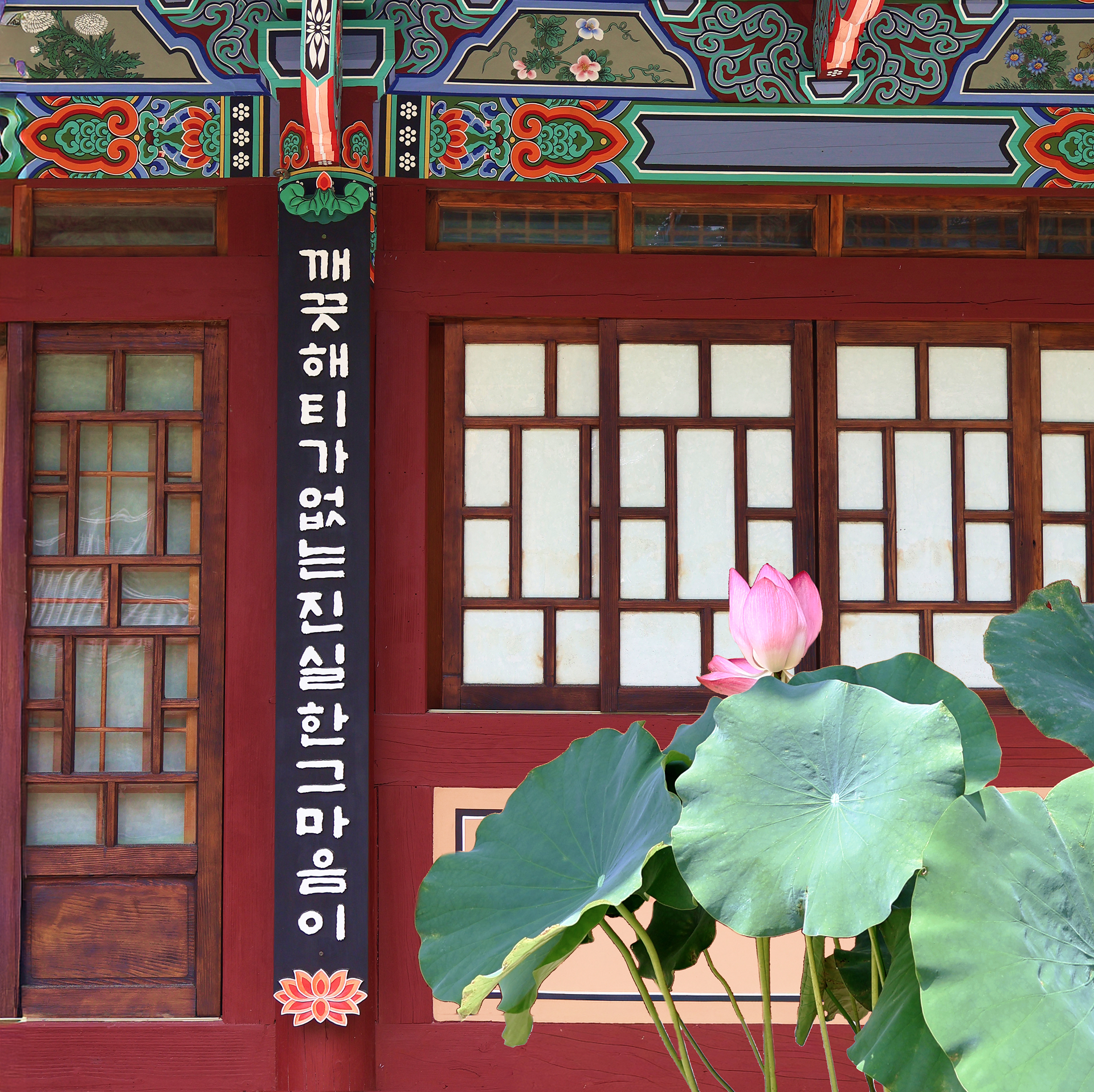 🌿 探索傳統寺廟園區，聆聽大自然的寧靜聲音。