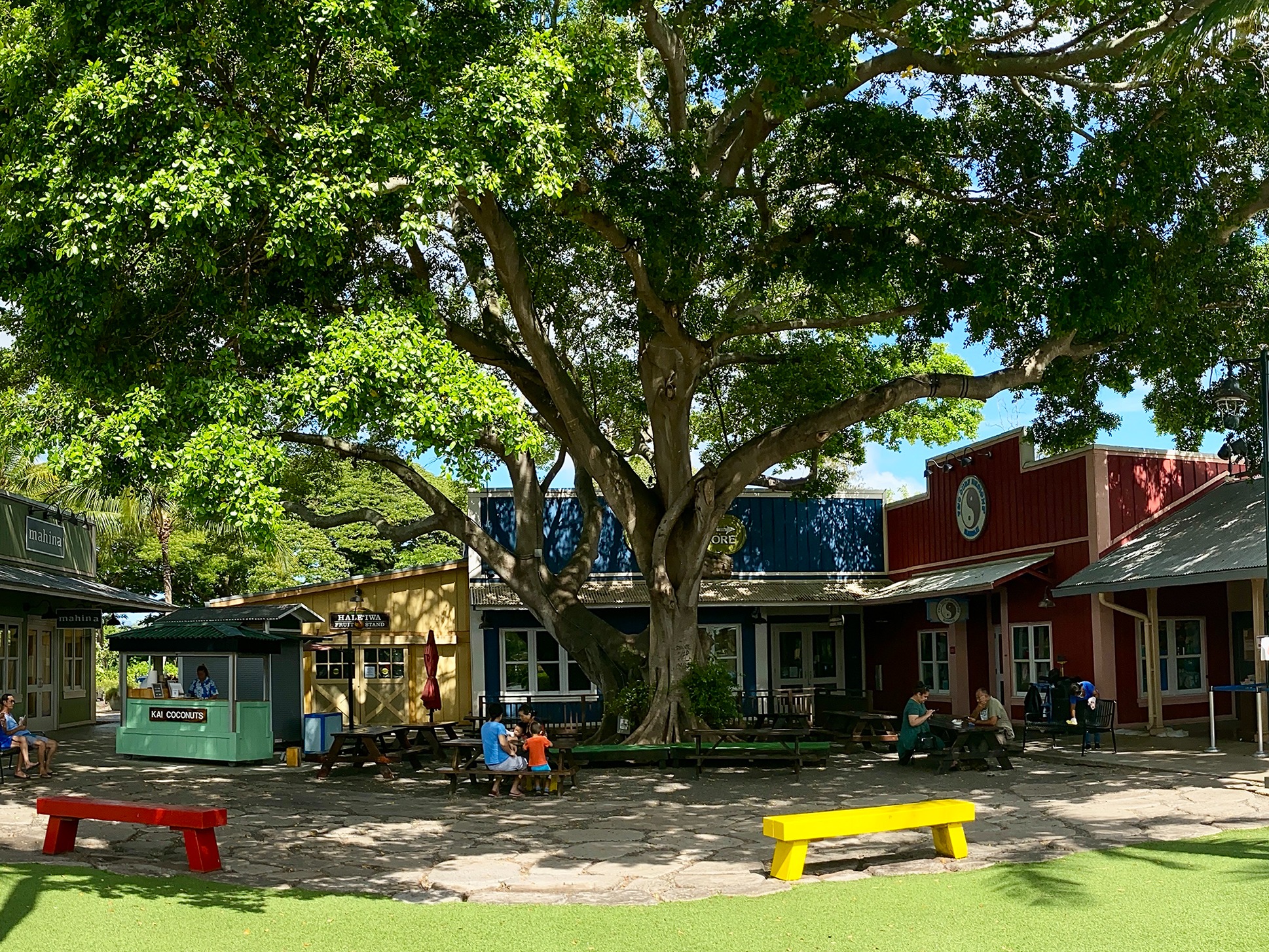 在沿途的觀景臺上捕捉迷人的海岸風光