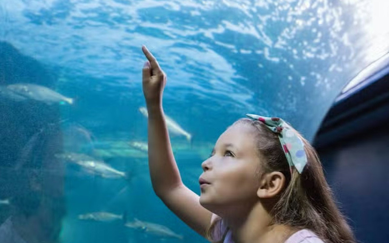 Inbursa Aquarium Ticket in Mexico City