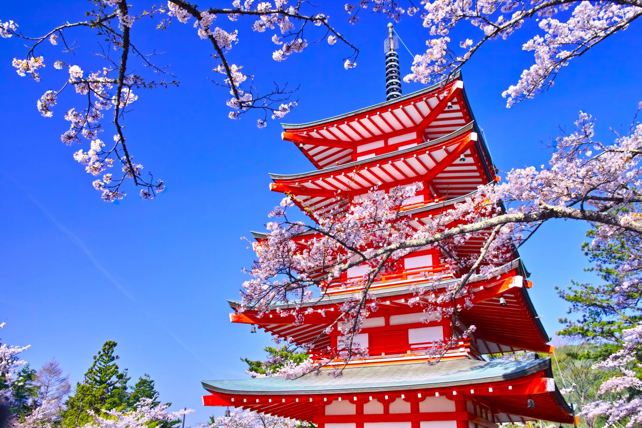 富士山壯麗美景或芝櫻節浪漫花海一日遊 （東京出發）