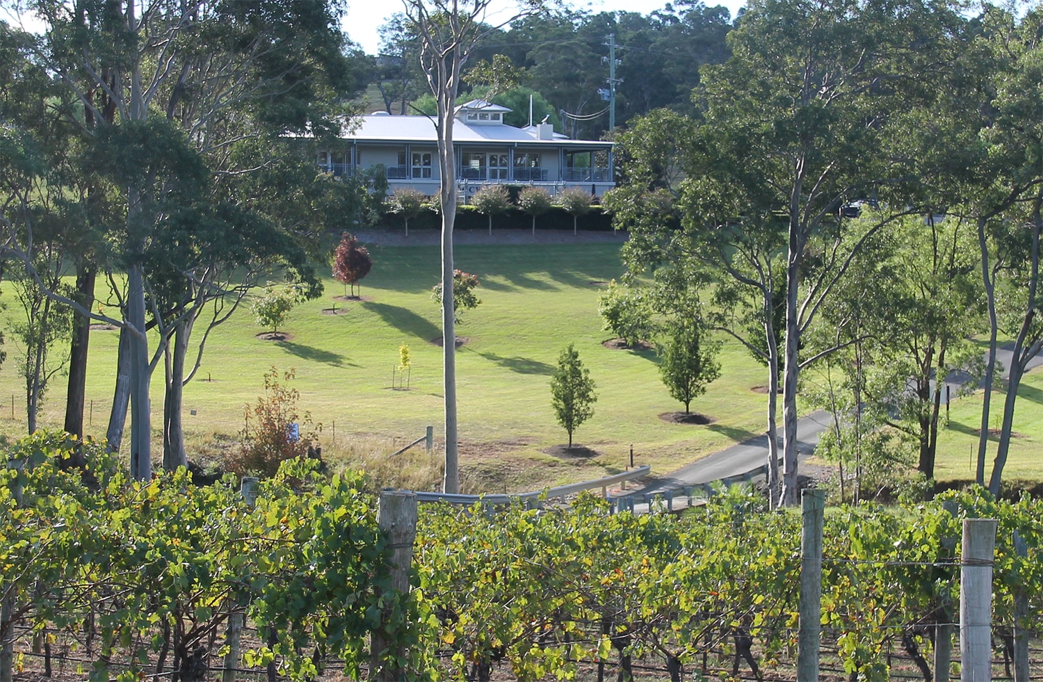 獵人谷 Tulloch Wines 酒莊品酒體驗（含道地起司＆熟食冷肉盤品嚐）